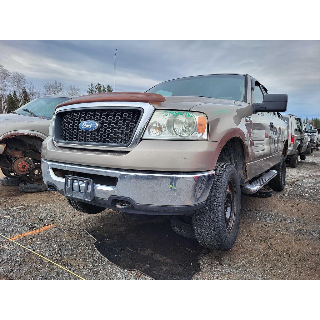 FORD F-150 2006