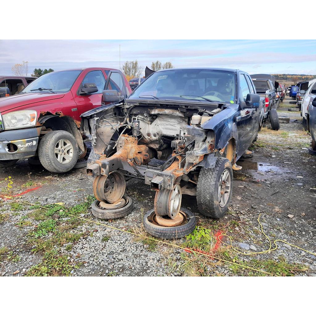 FORD F-150 2007