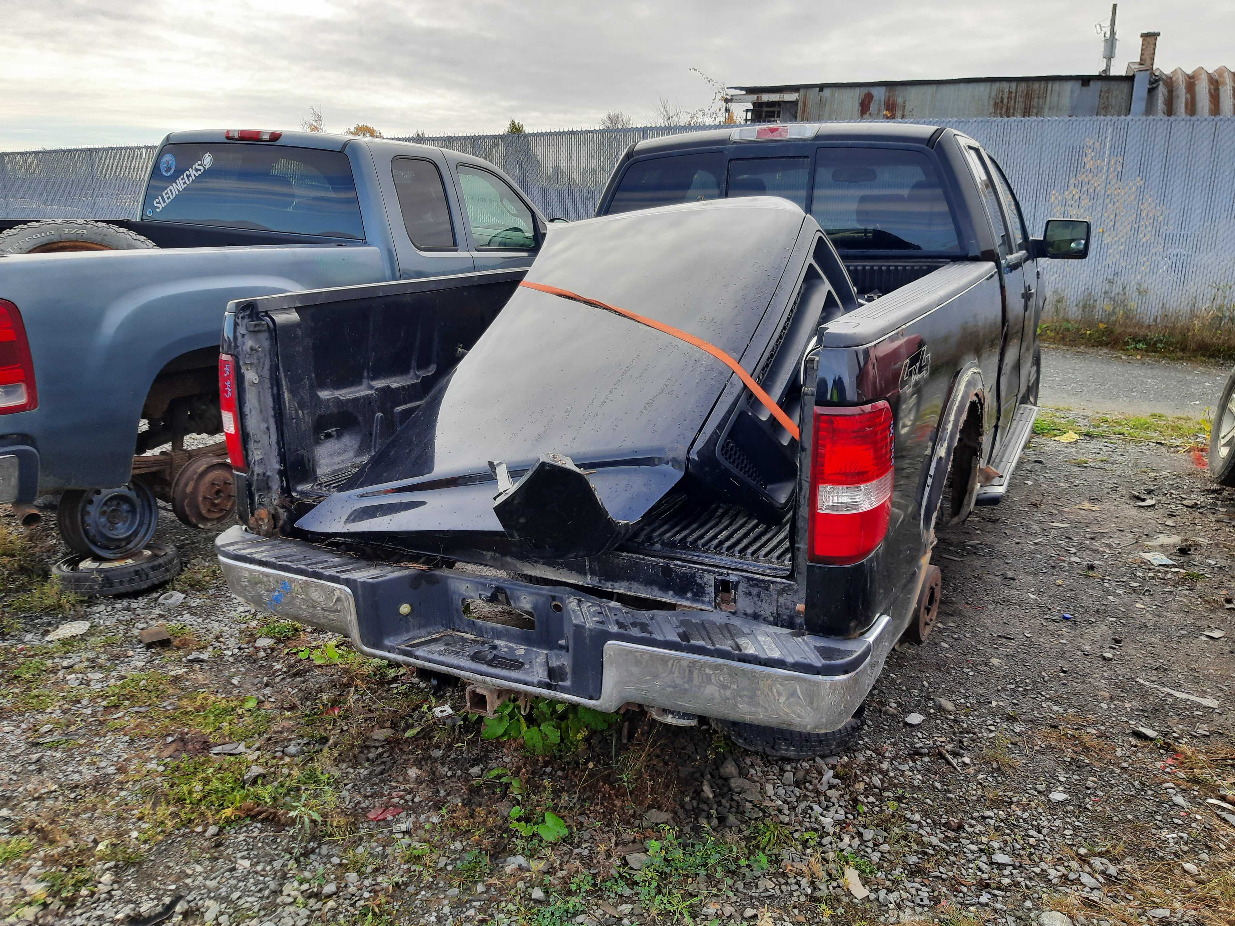 FORD F-150 2007