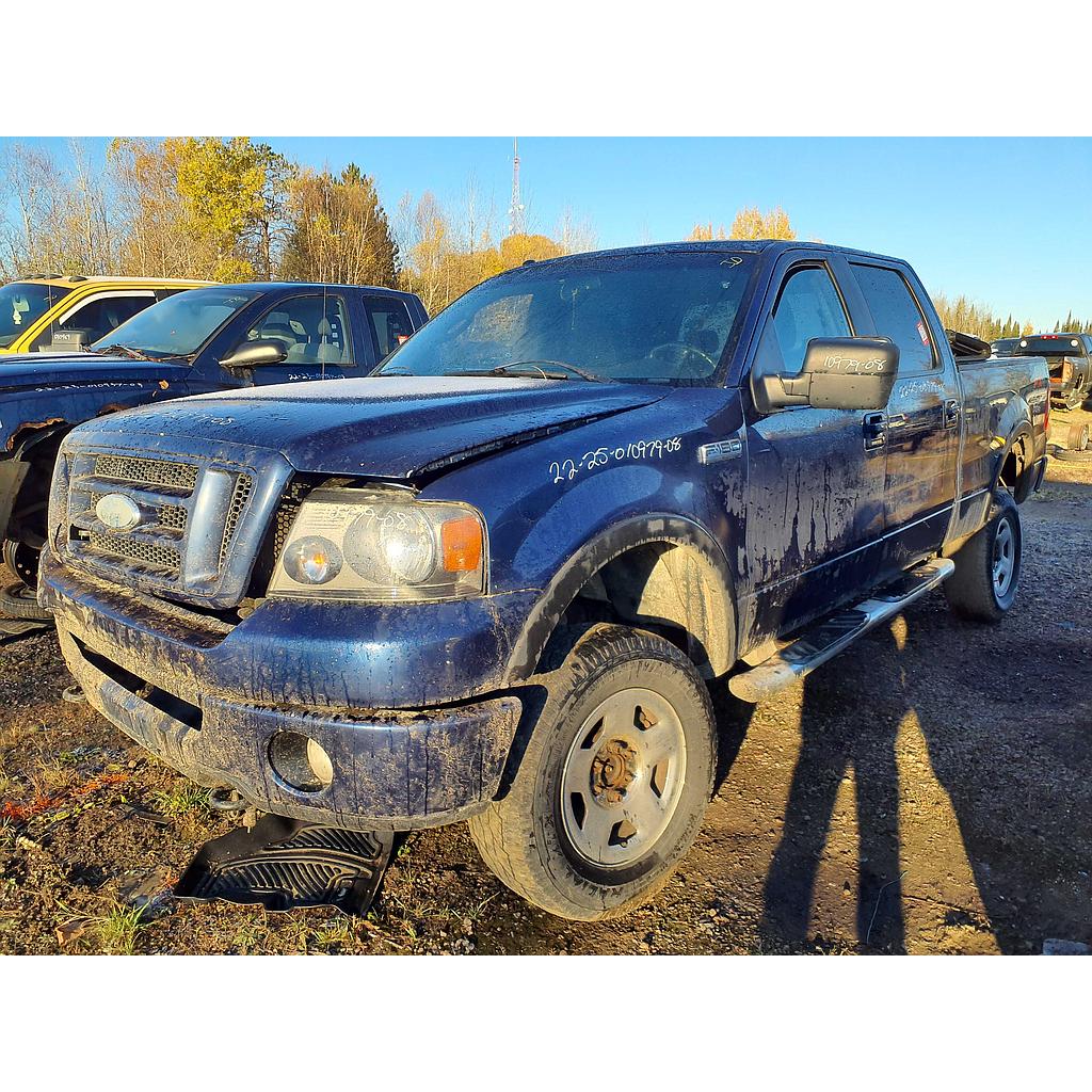 FORD F-150 2008