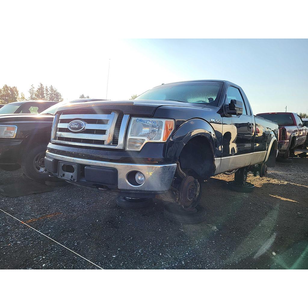 FORD F-150 2009