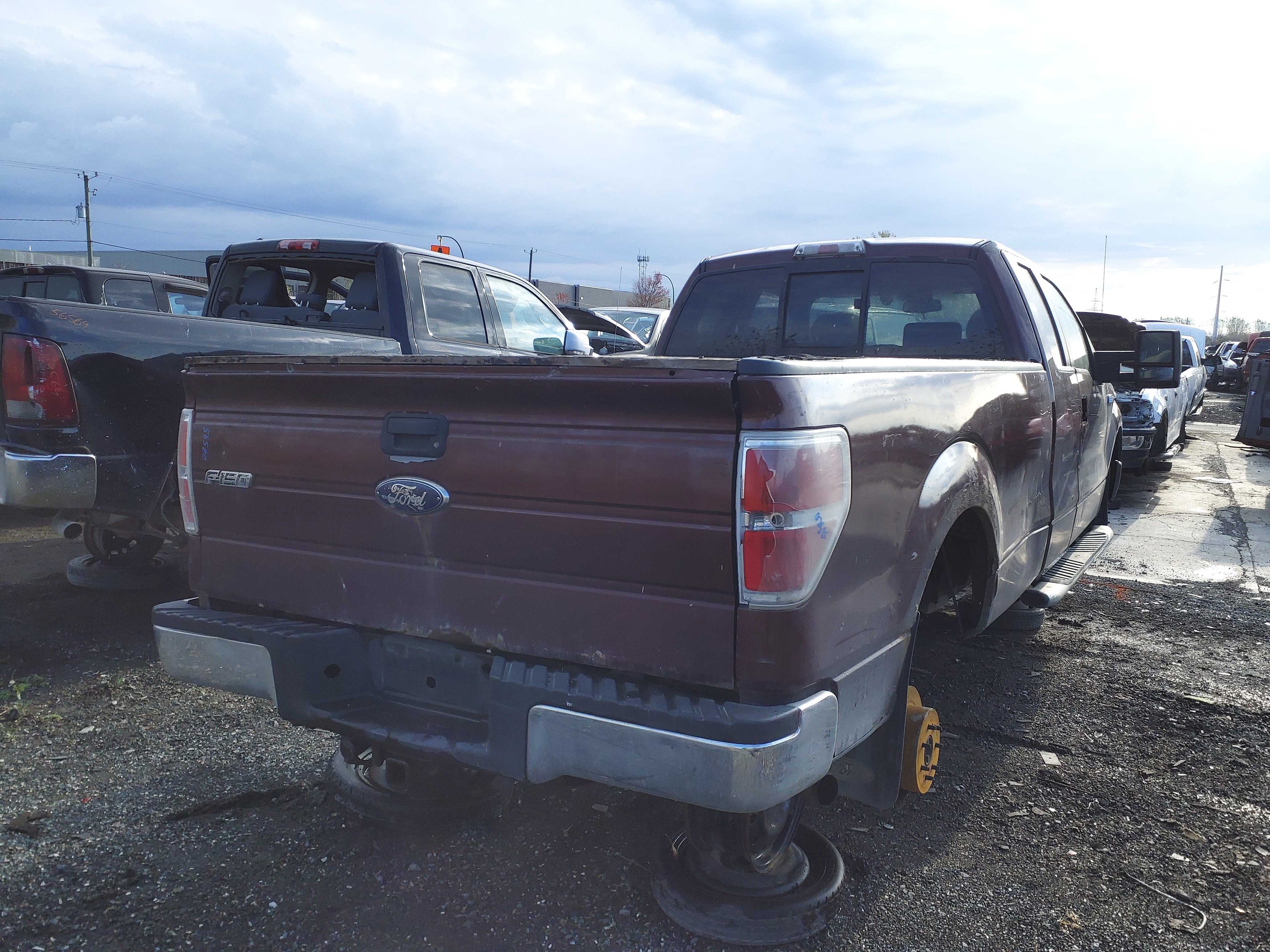 FORD F-150 2009