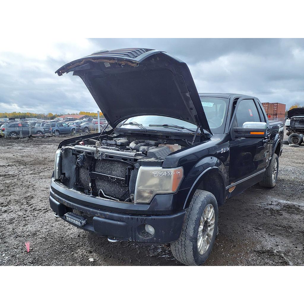 FORD F-150 2009