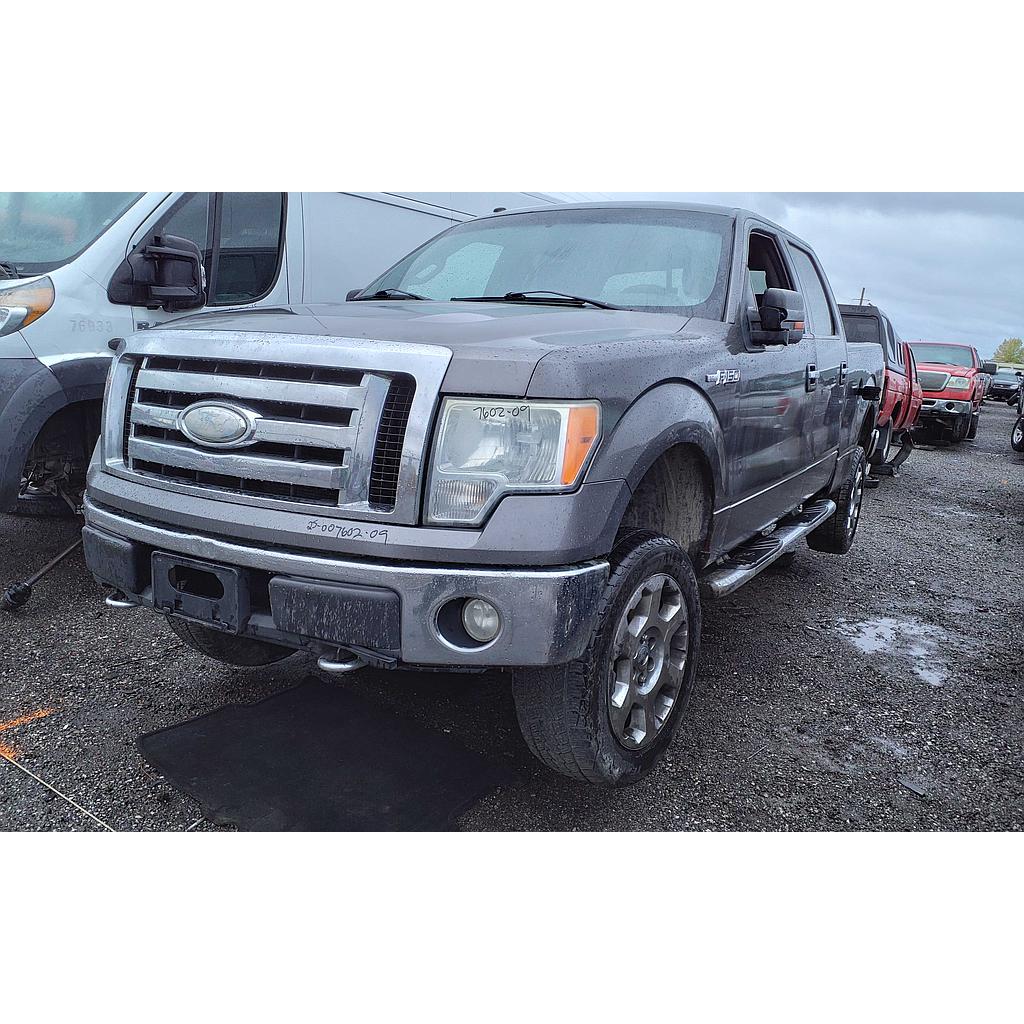 FORD F-150 2009