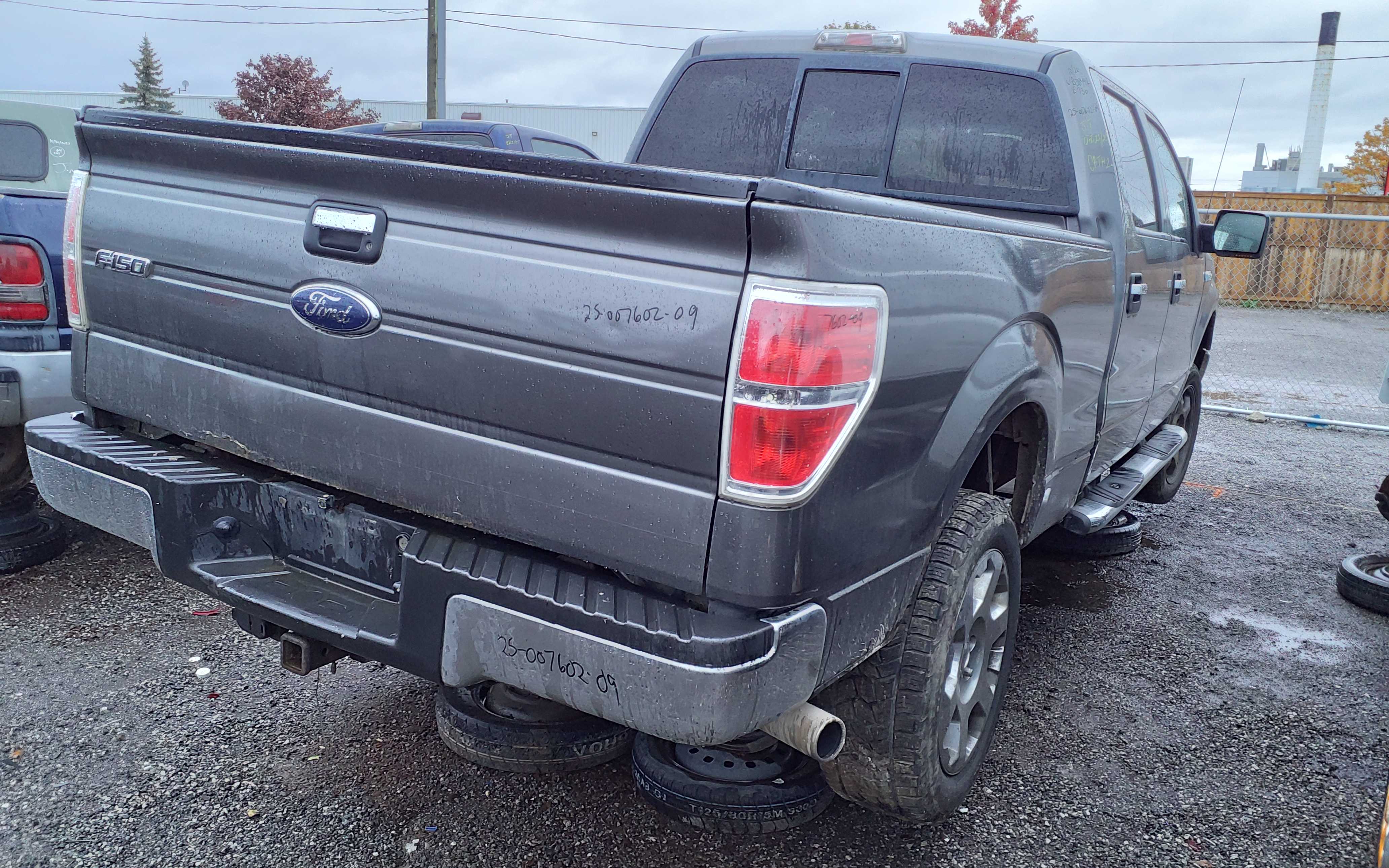FORD F-150 2009