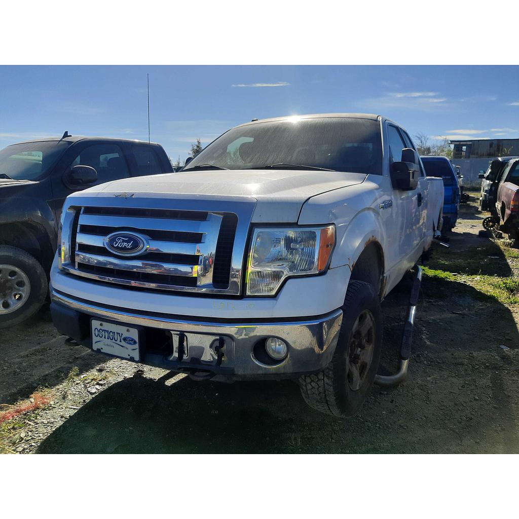 FORD F-150 2010