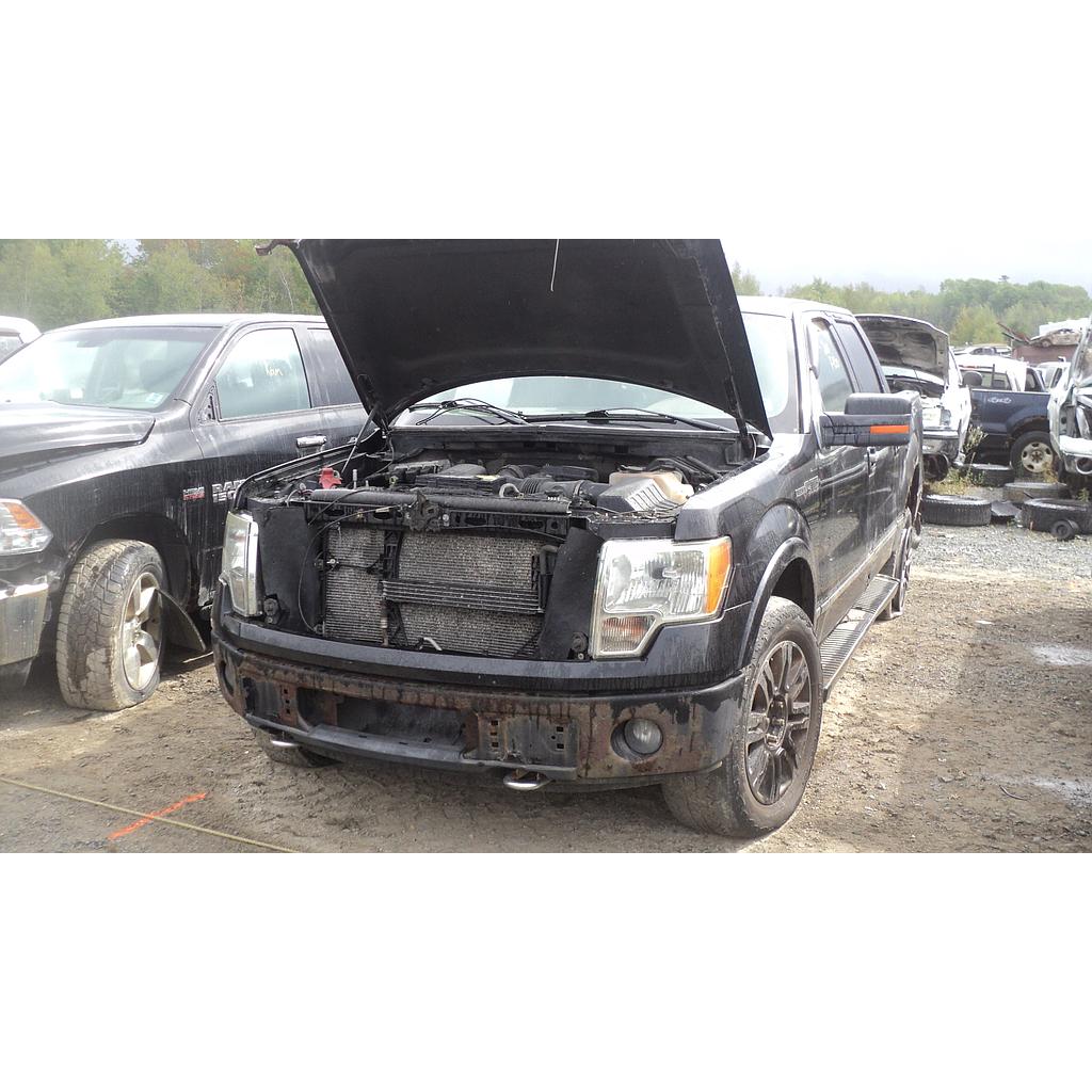 FORD F-150 2010