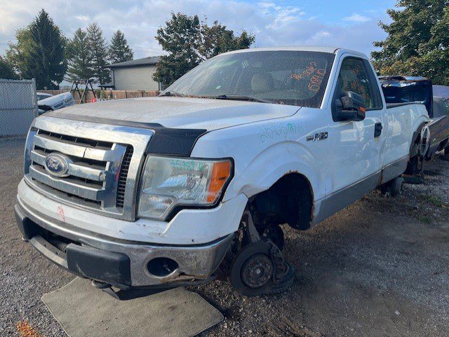 FORD F-150 2010
