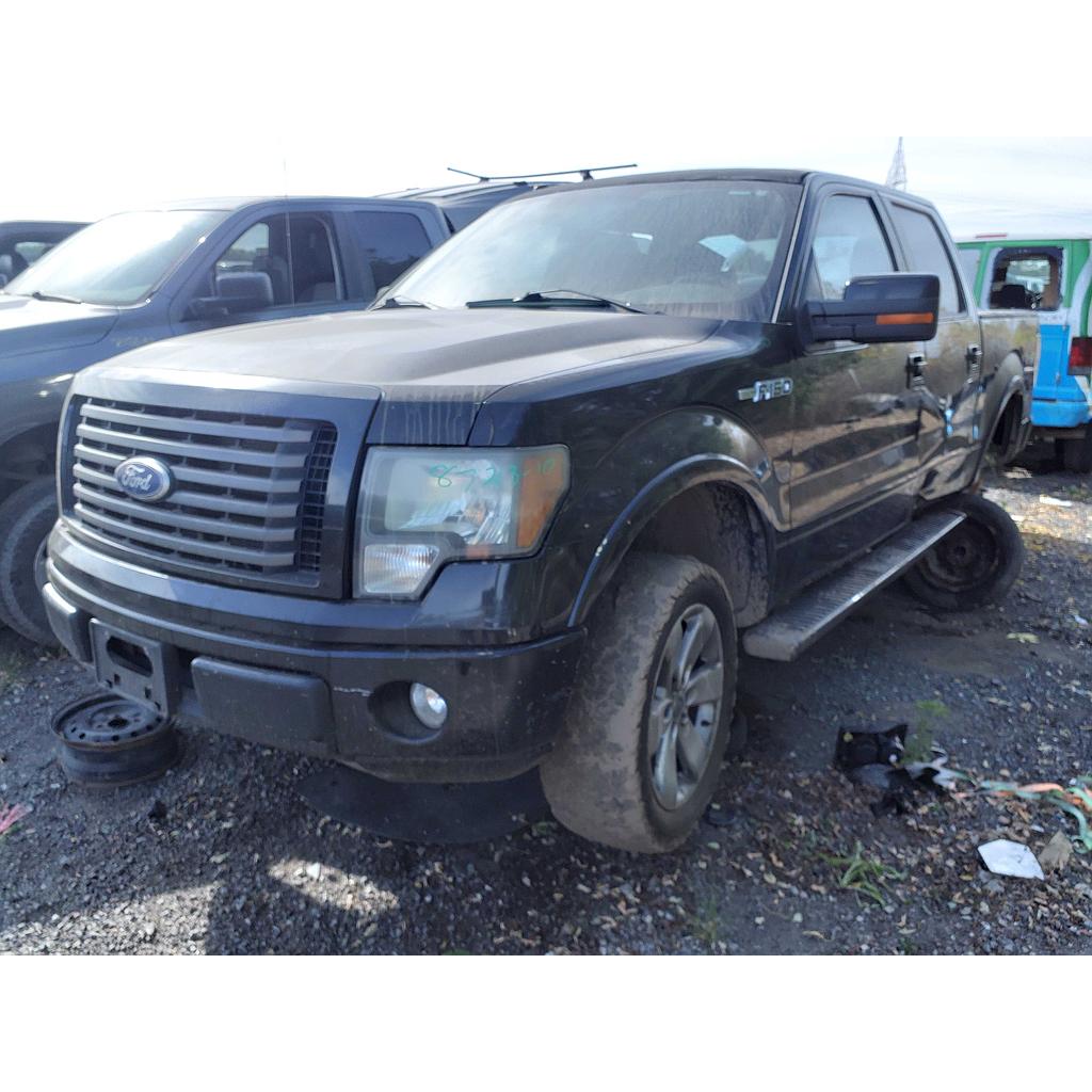 FORD F-150 2010