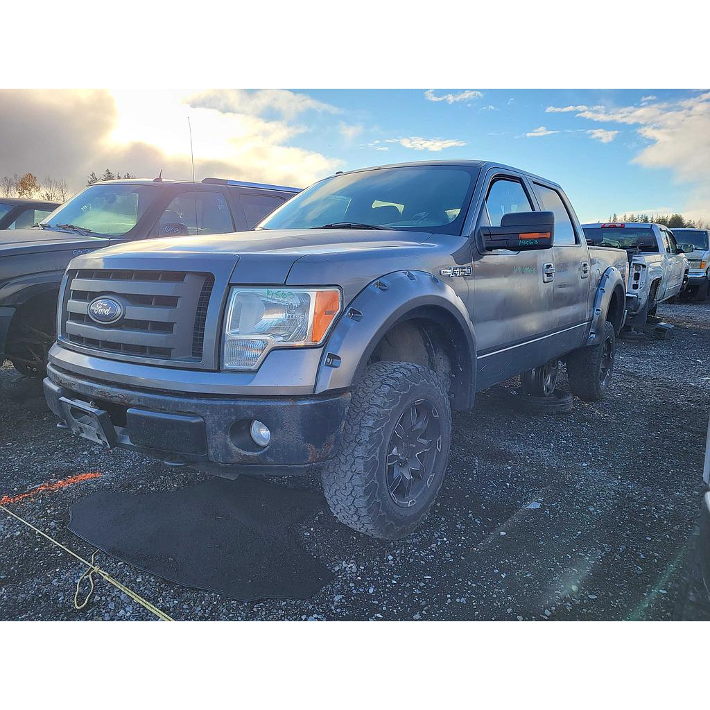 FORD F-150 2010