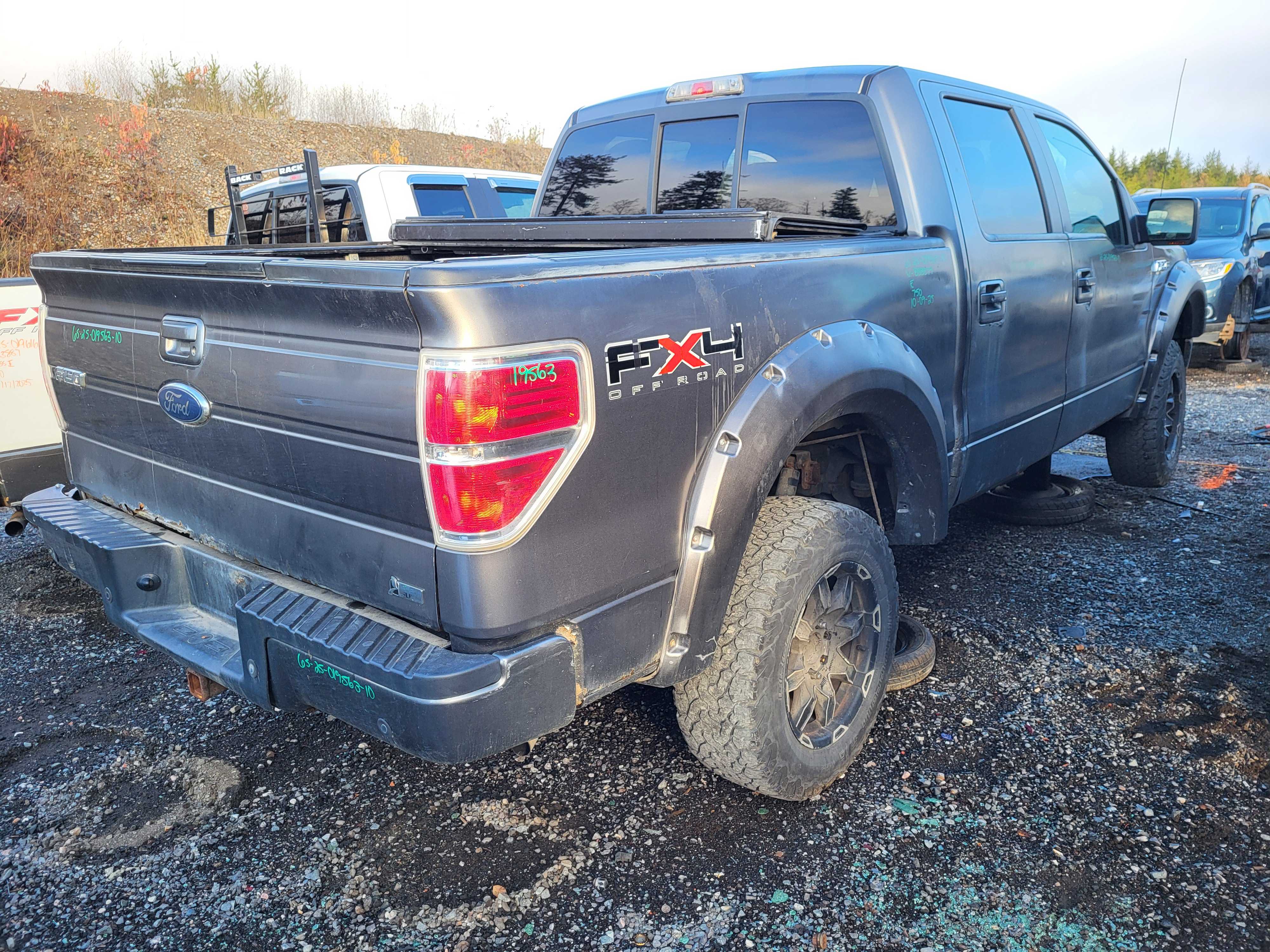 FORD F-150 2010