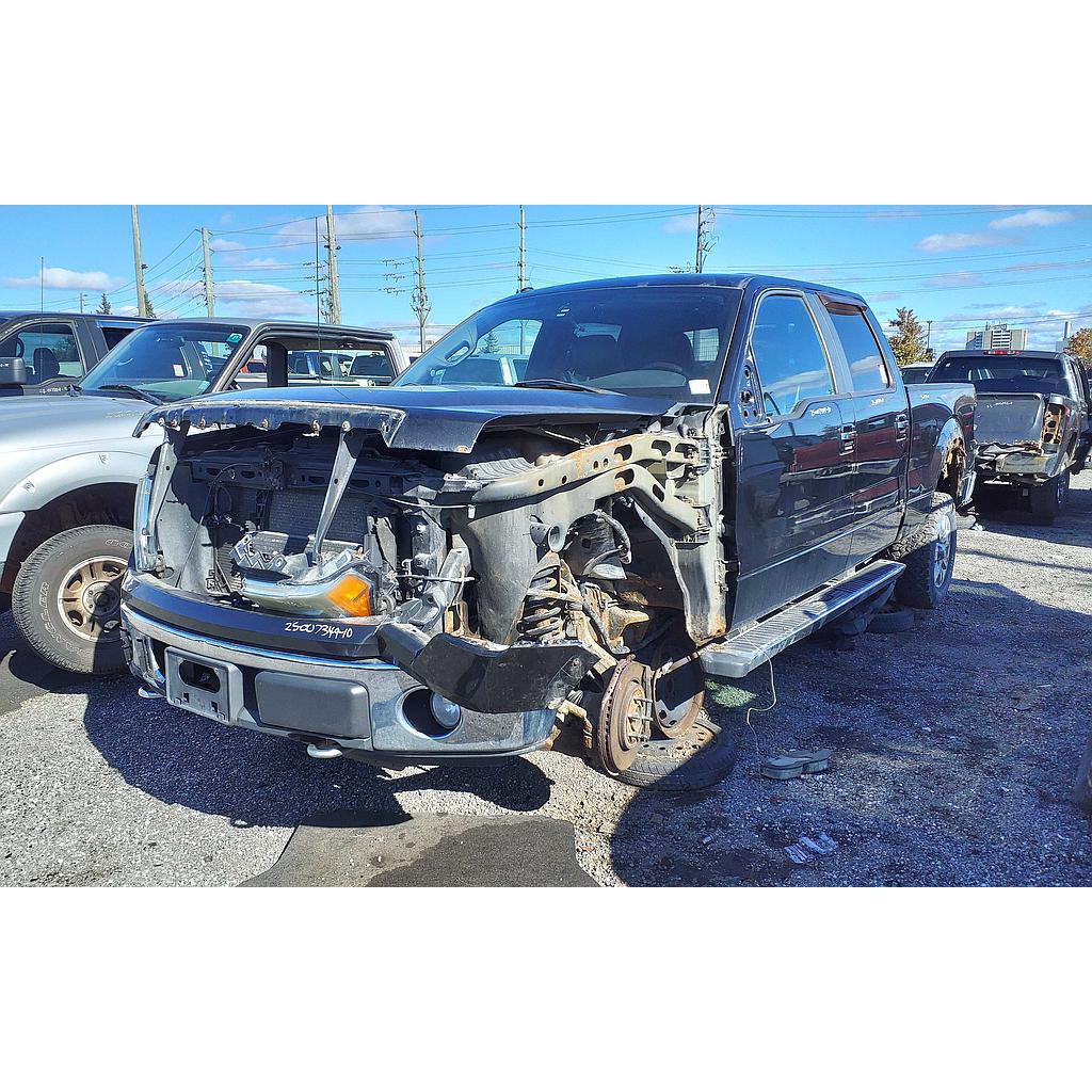 FORD F-150 2010