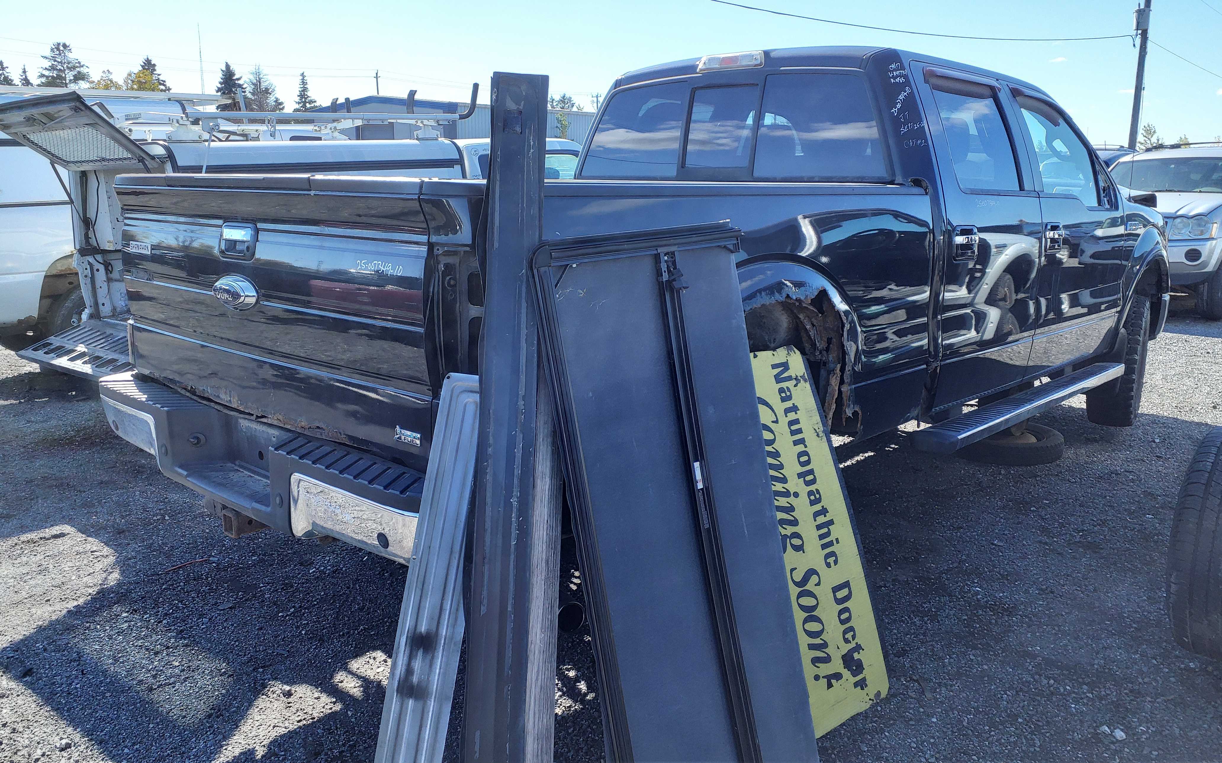FORD F-150 2010