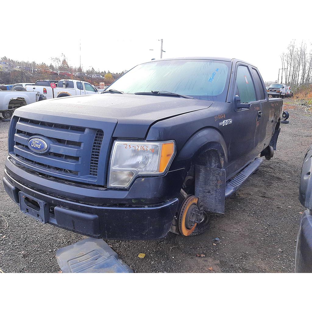 FORD F-150 2010