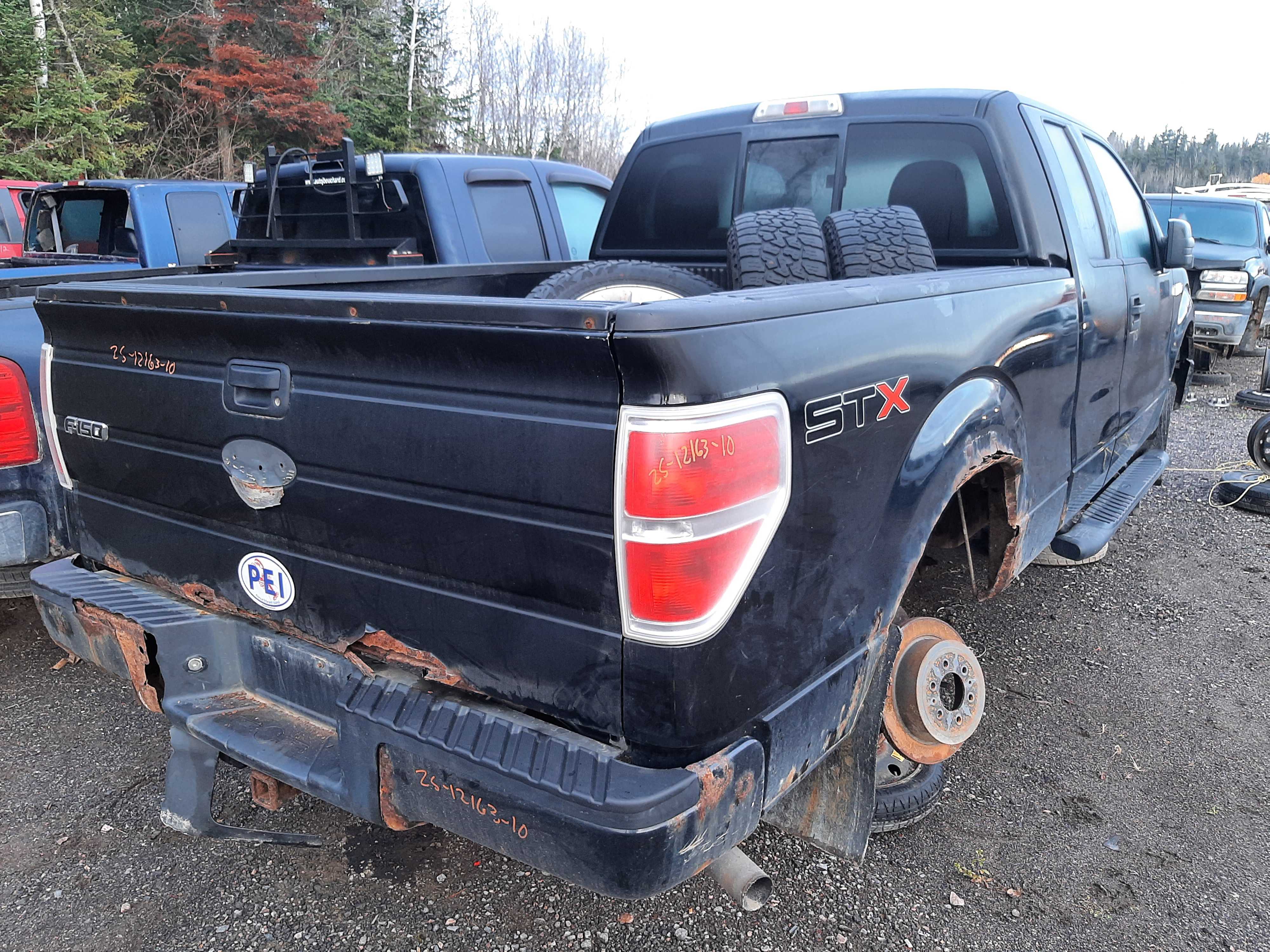 FORD F-150 2010