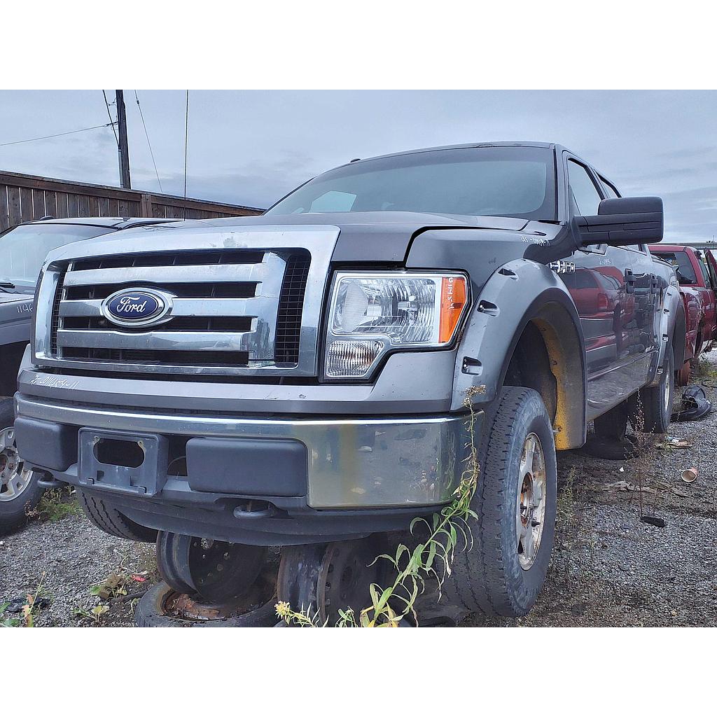FORD F-150 2011