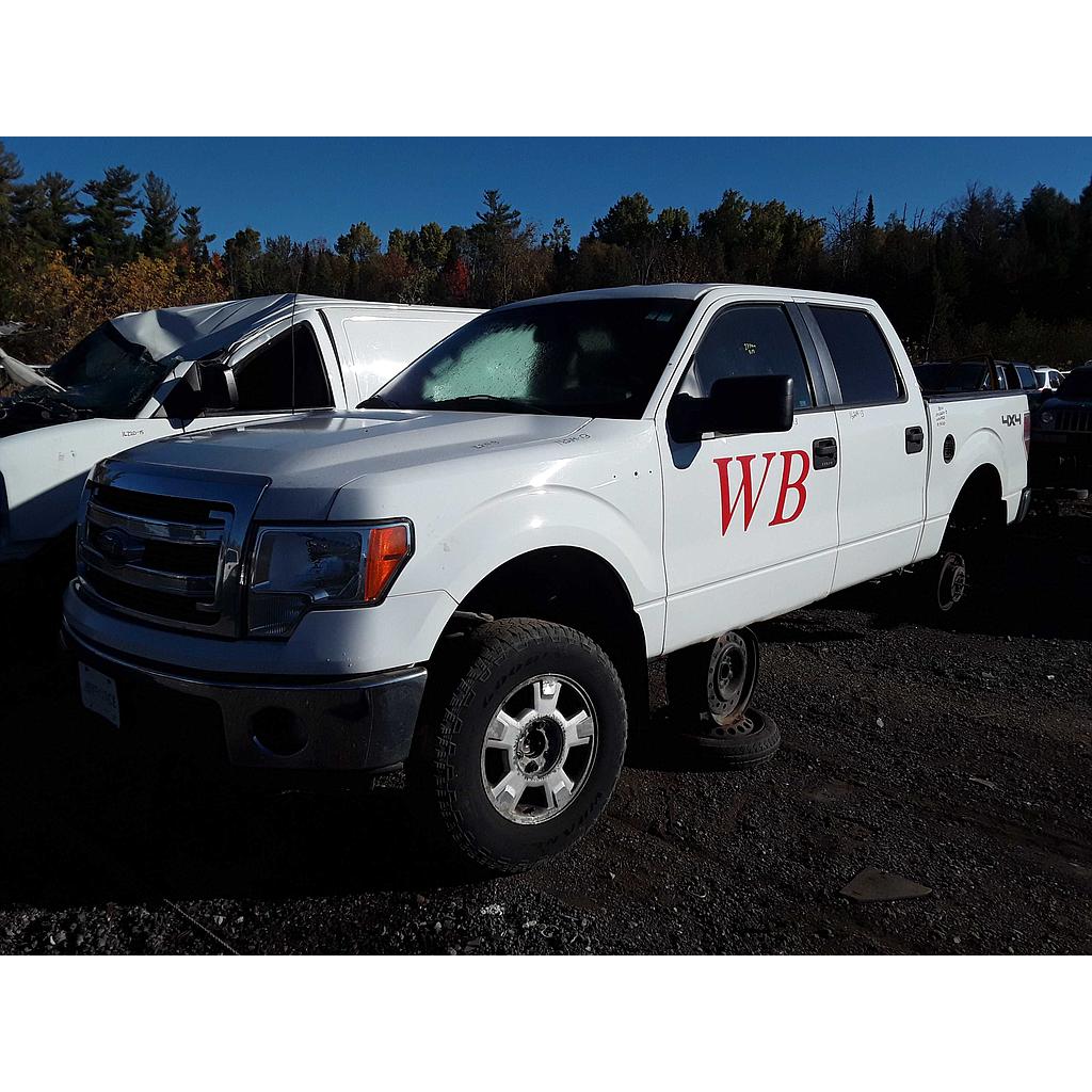 FORD F-150 2013