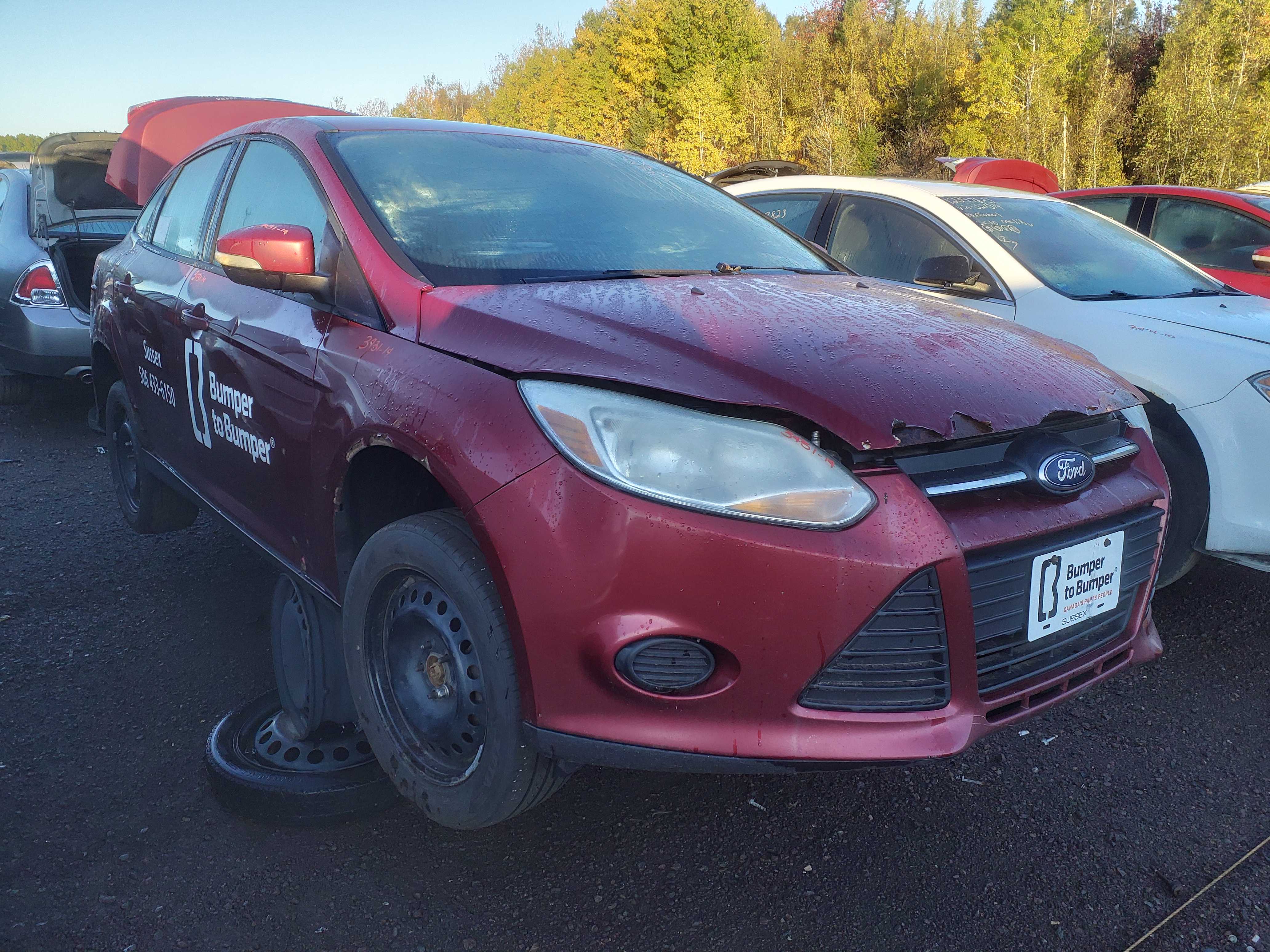 FORD FOCUS 2014