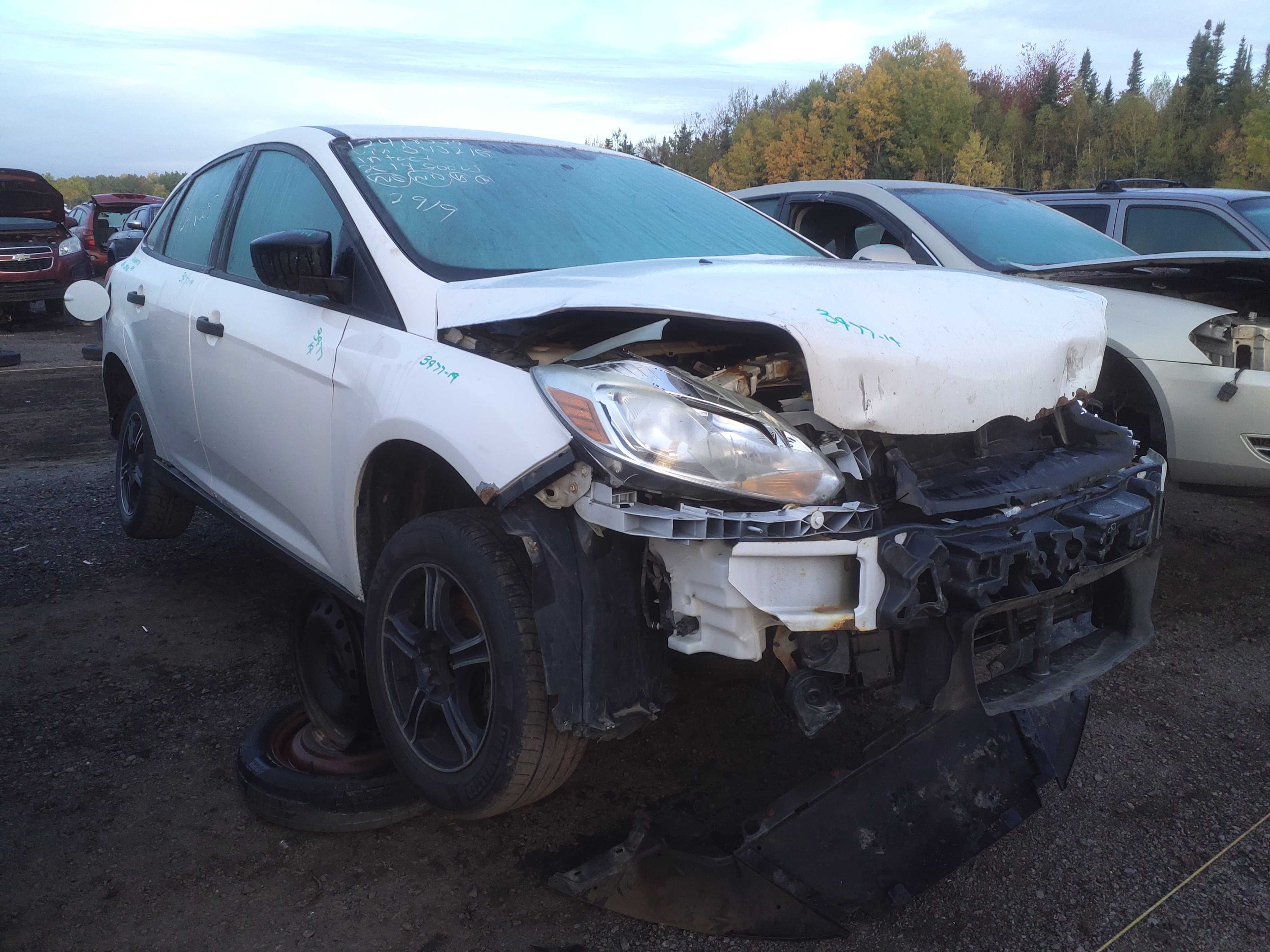 FORD FOCUS 2014