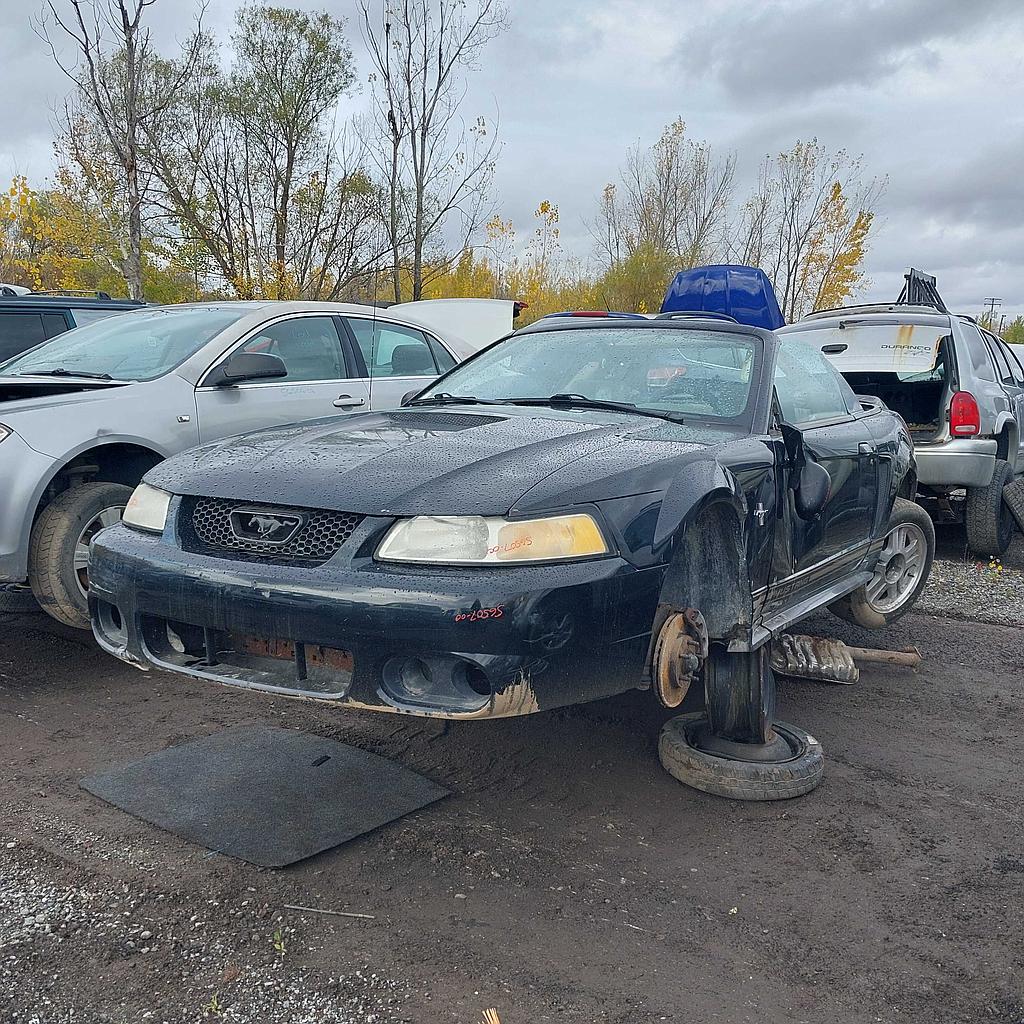 FORD MUSTANG 2000