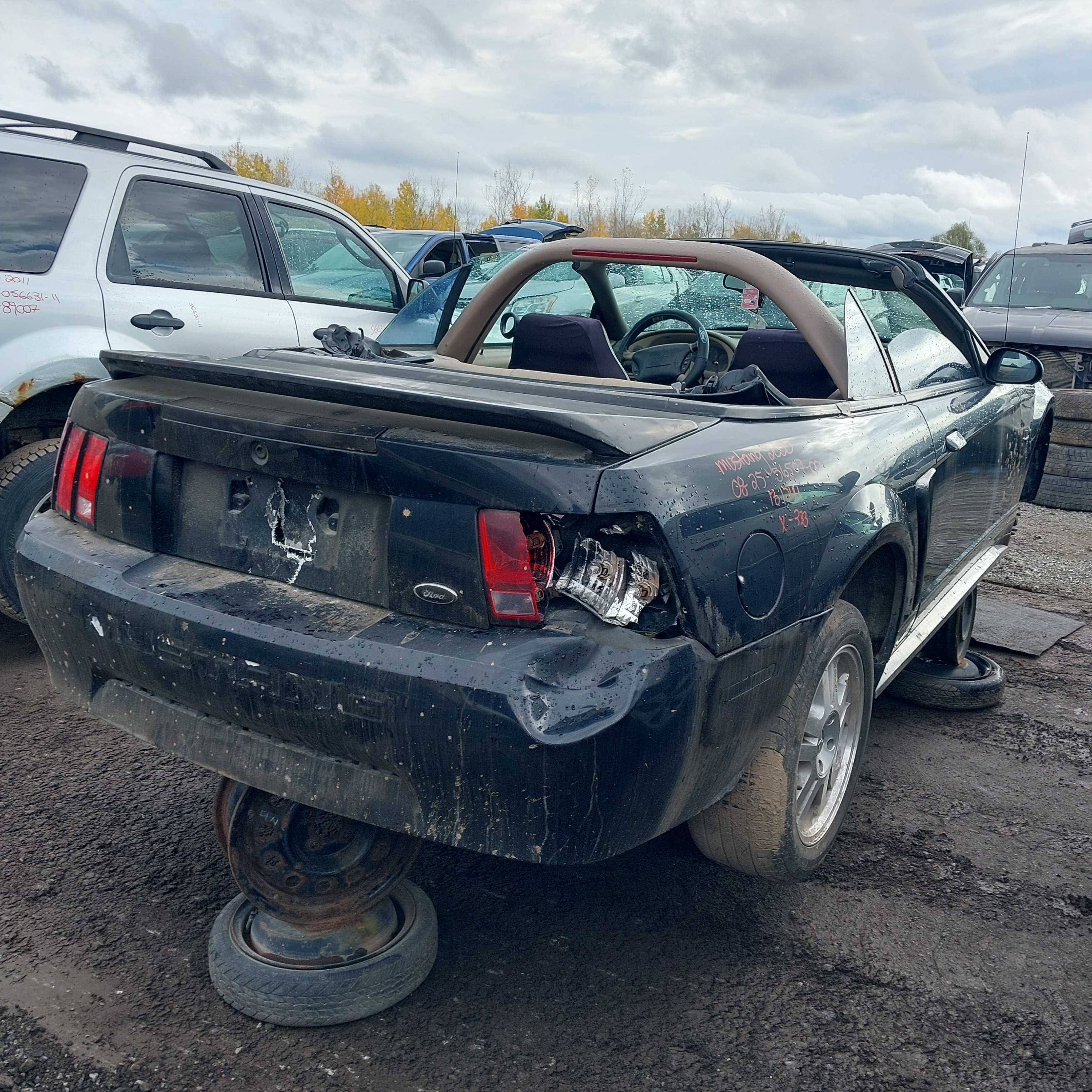 FORD MUSTANG 2000