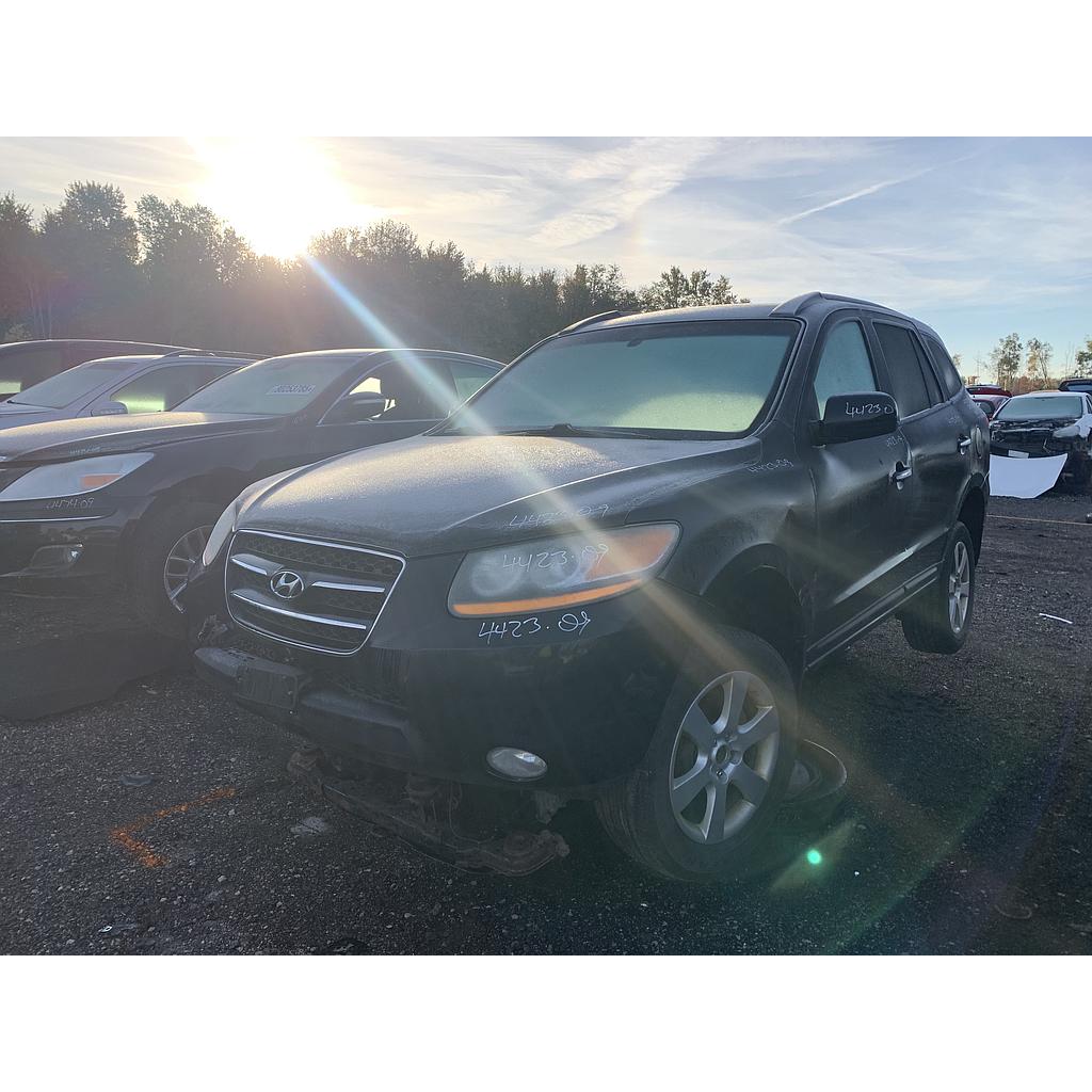 HYUNDAI SANTA FE 2009