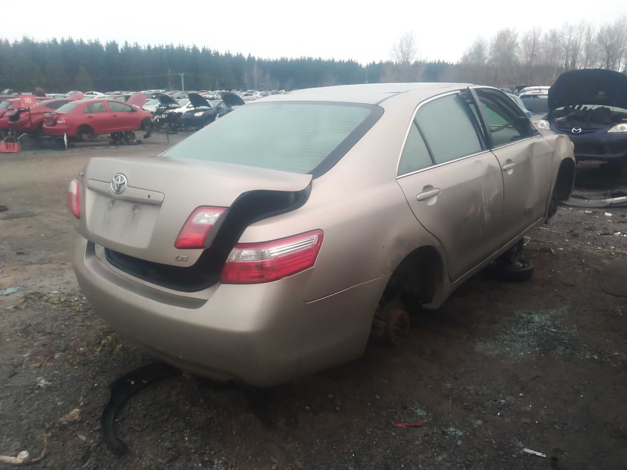 TOYOTA CAMRY 2007