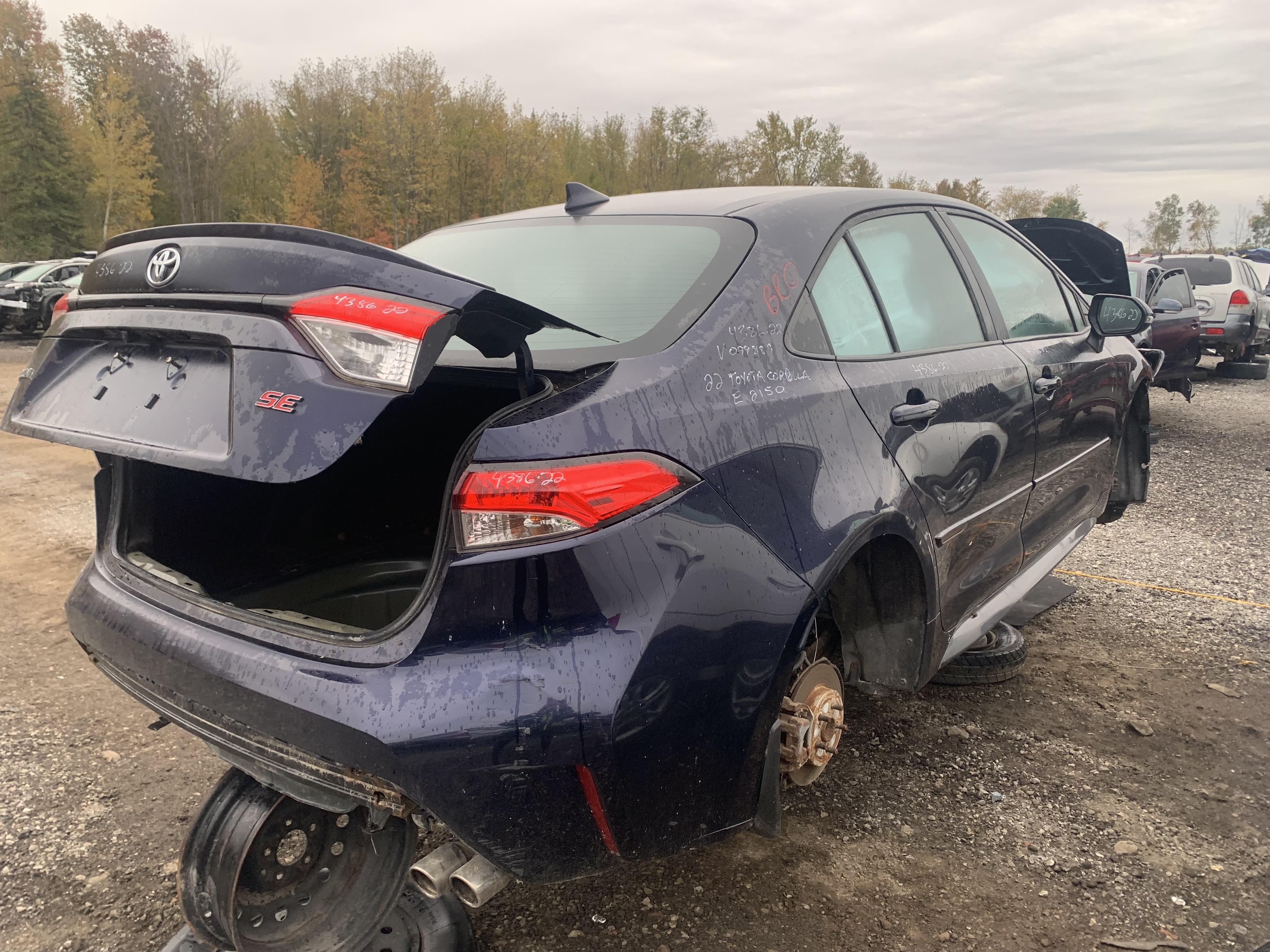 TOYOTA COROLLA 2022