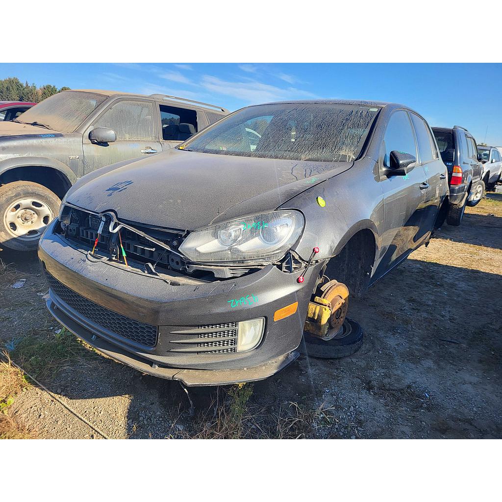 VOLKSWAGEN GTI 2010