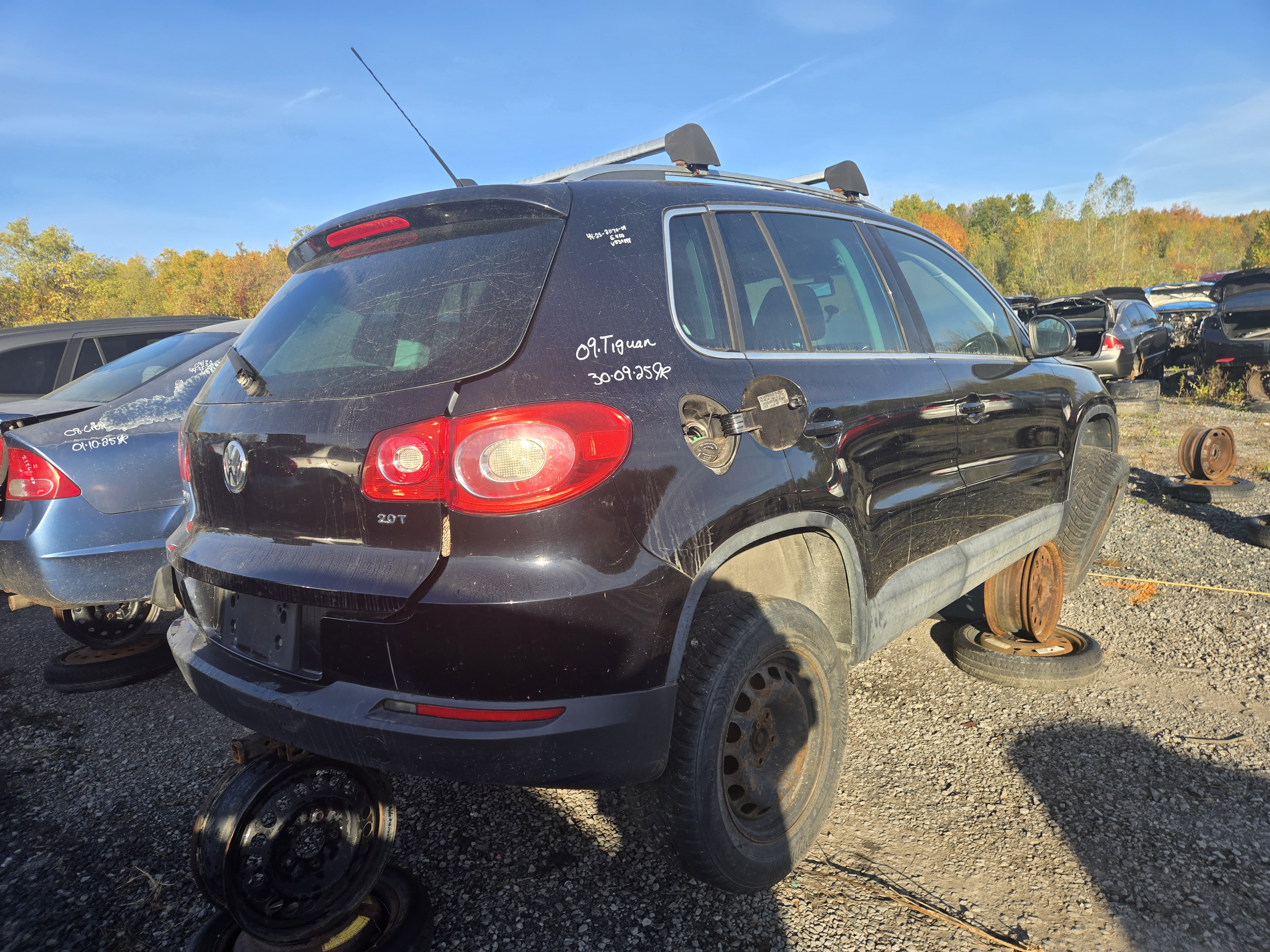 VOLKSWAGEN TIGUAN 2009