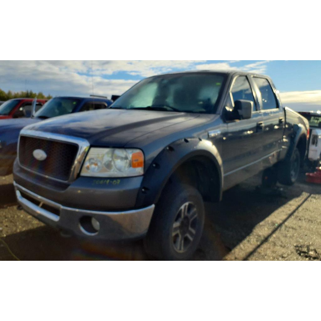FORD F-150 2007