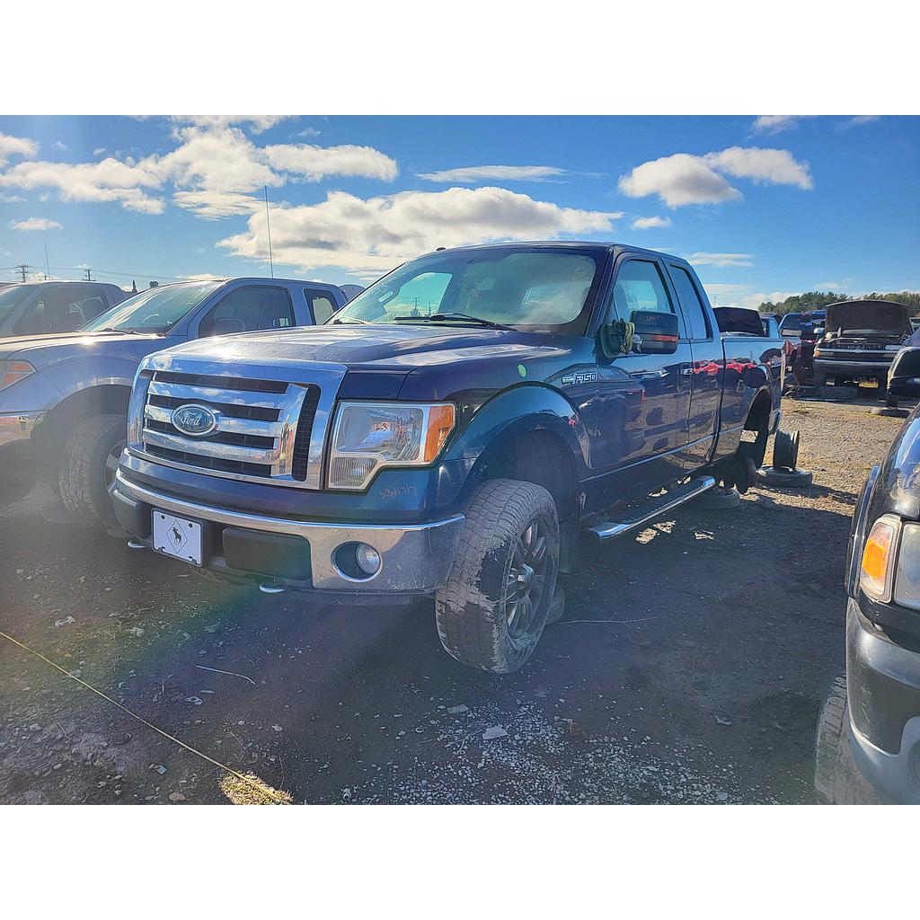 FORD F-150 2009
