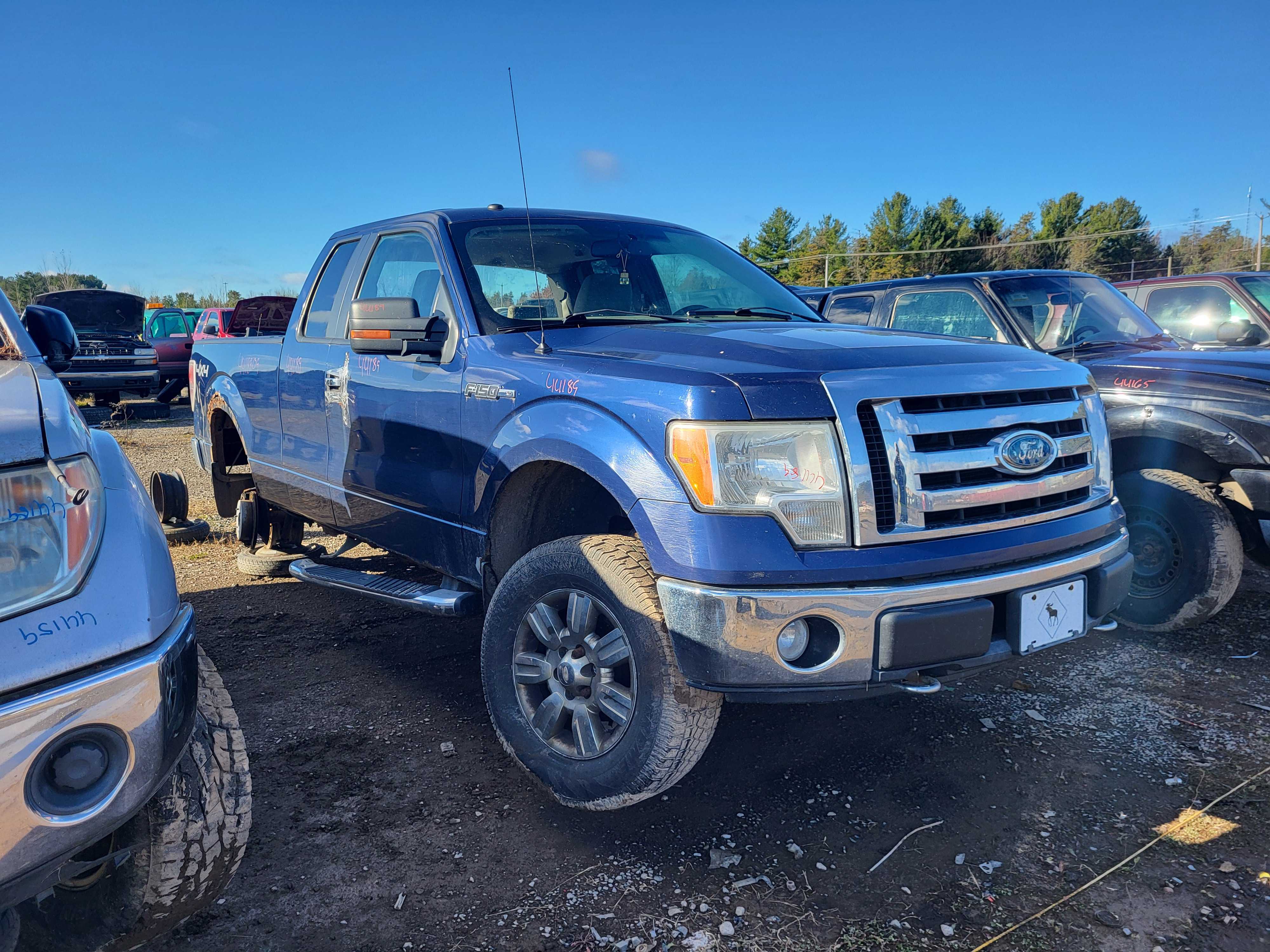 FORD F-150 2009