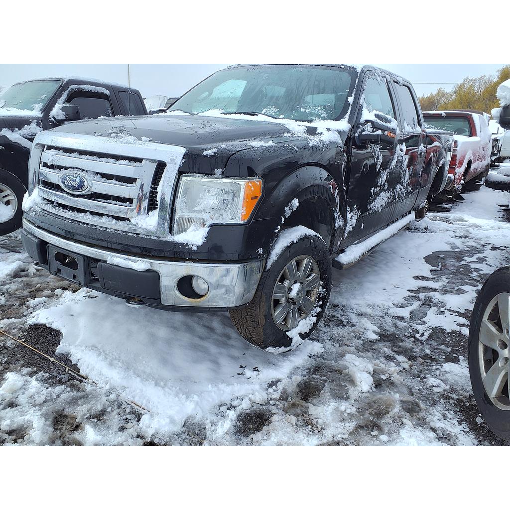 FORD F-150 2009
