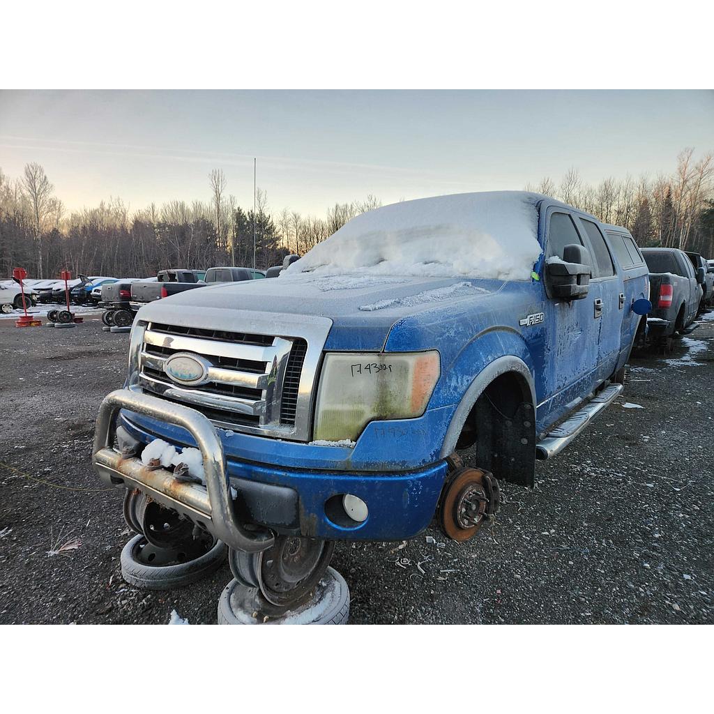 FORD F-150 2009