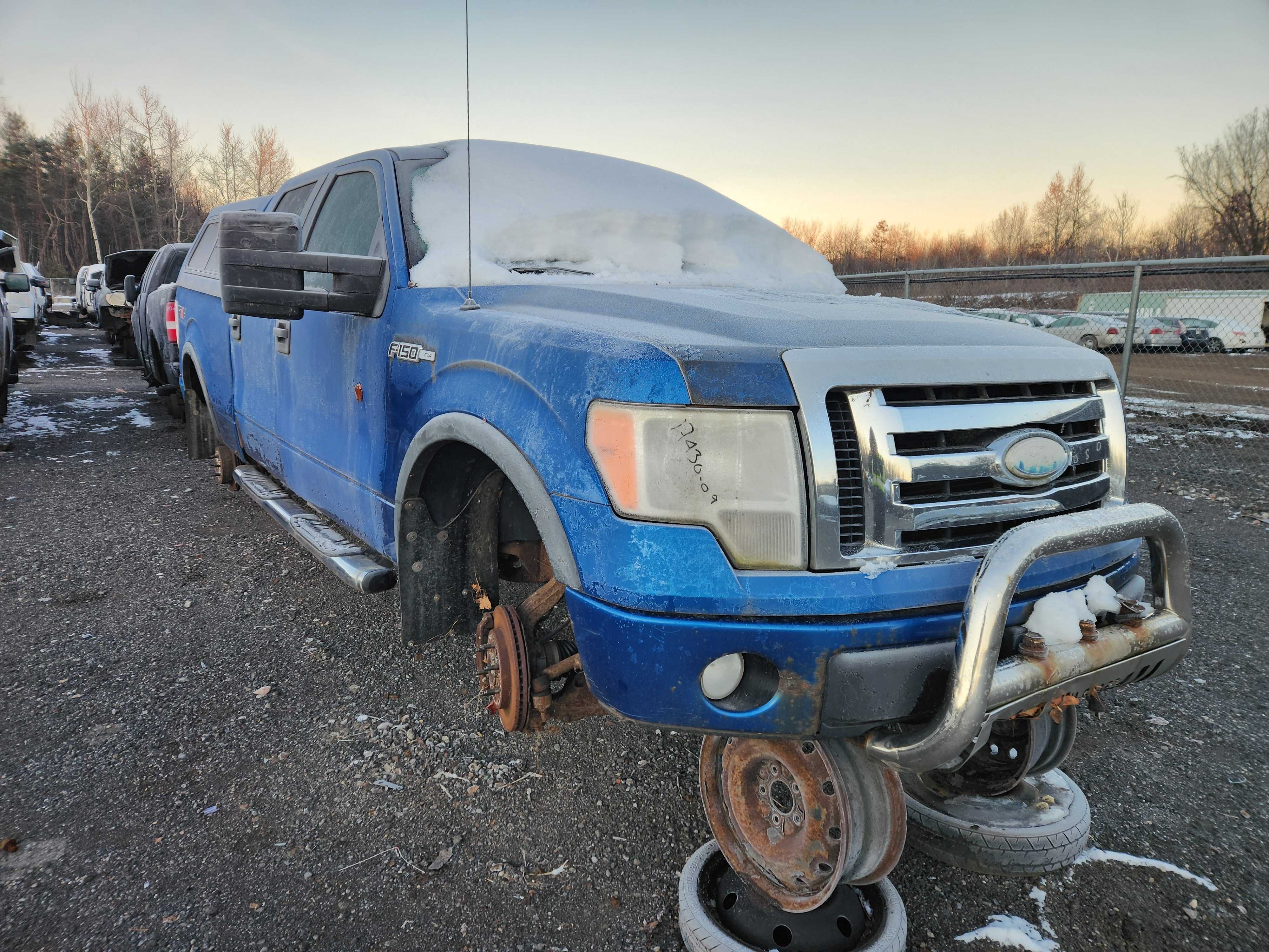 FORD F-150 2009