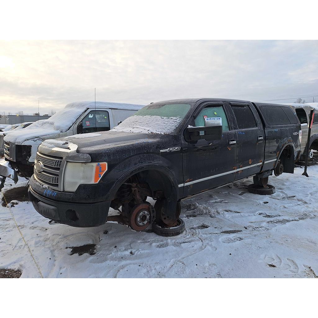 FORD F-150 2009