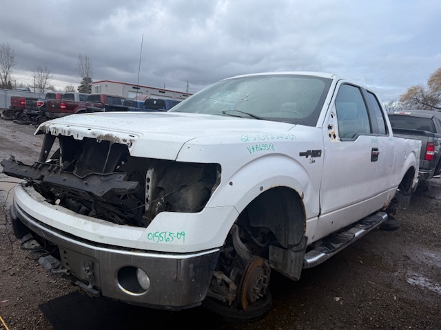 FORD F-150 2009