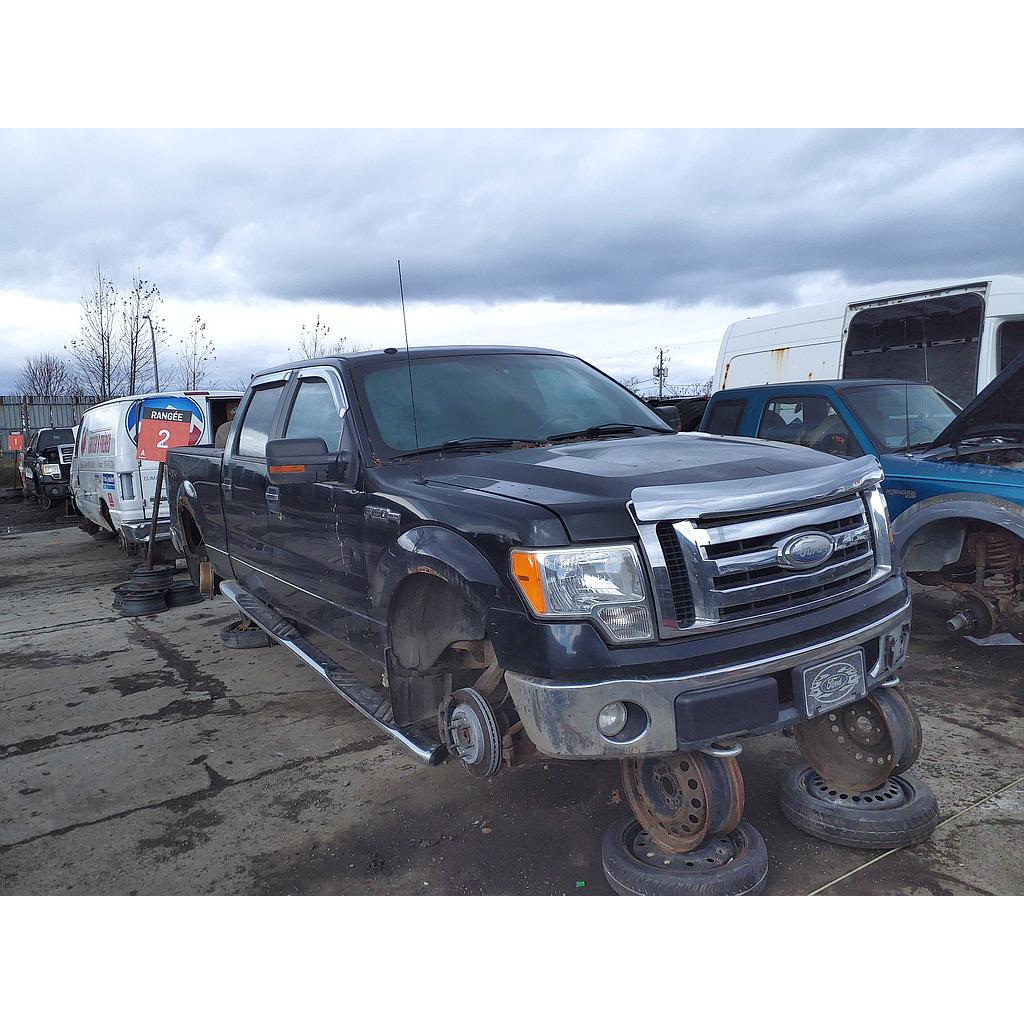 FORD F-150 2009