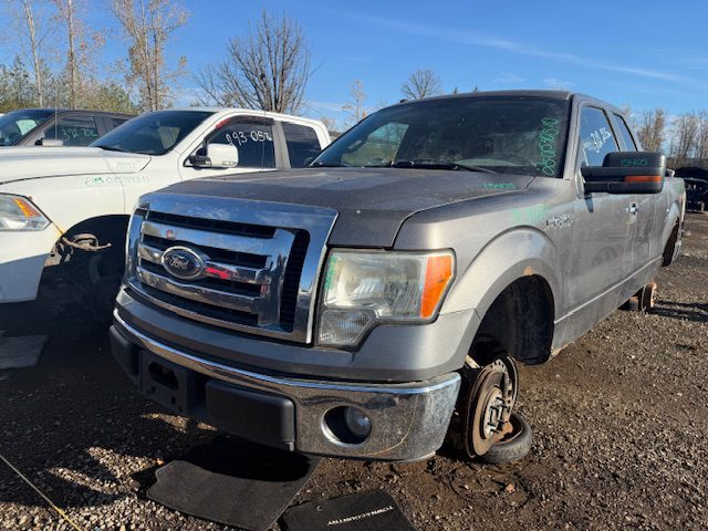 FORD F-150 2010