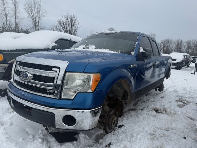 FORD F-150 2010