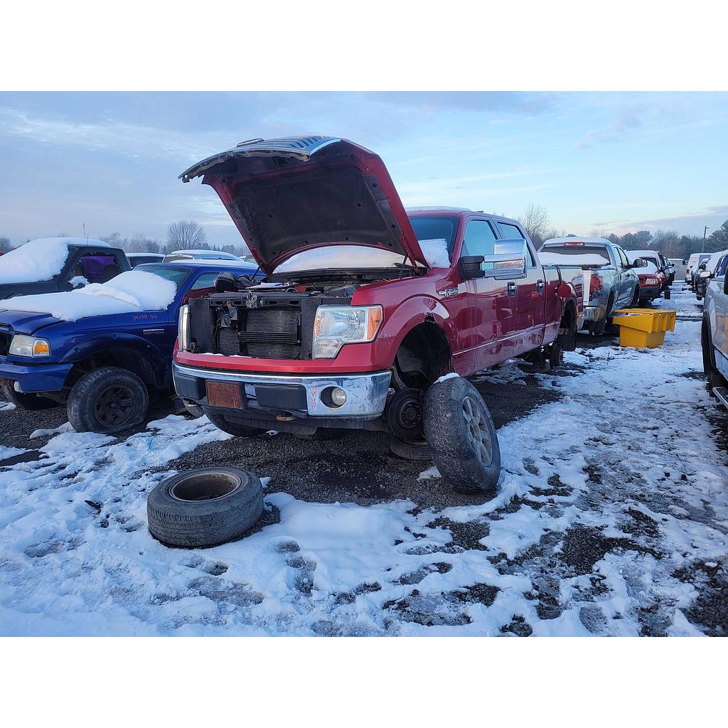 FORD F-150 2010