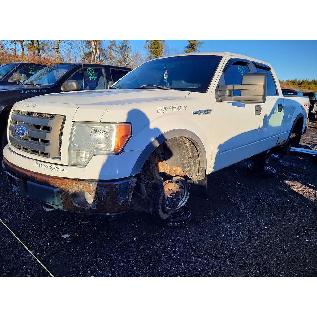 FORD F-150 2010