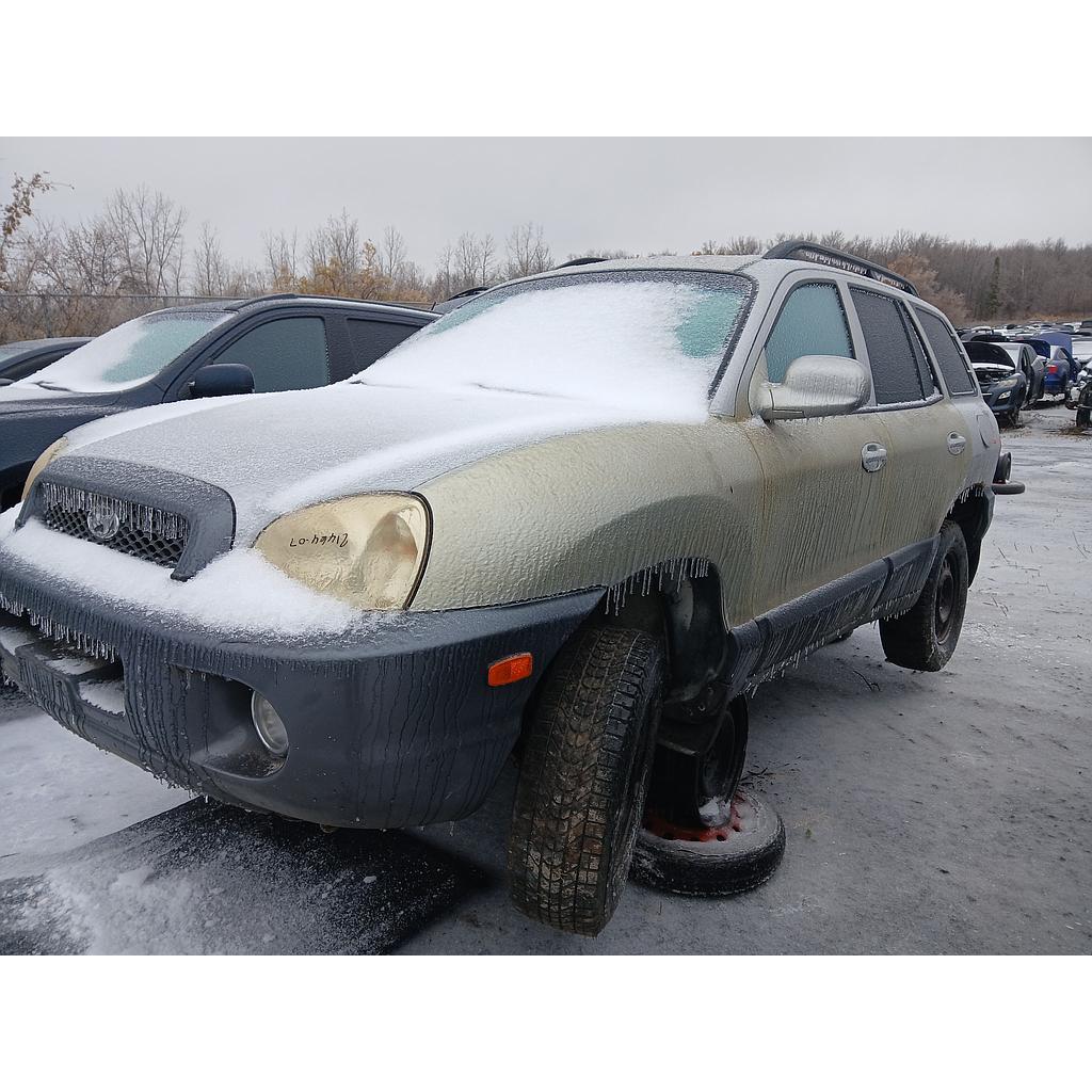 HYUNDAI SANTA FE 2001