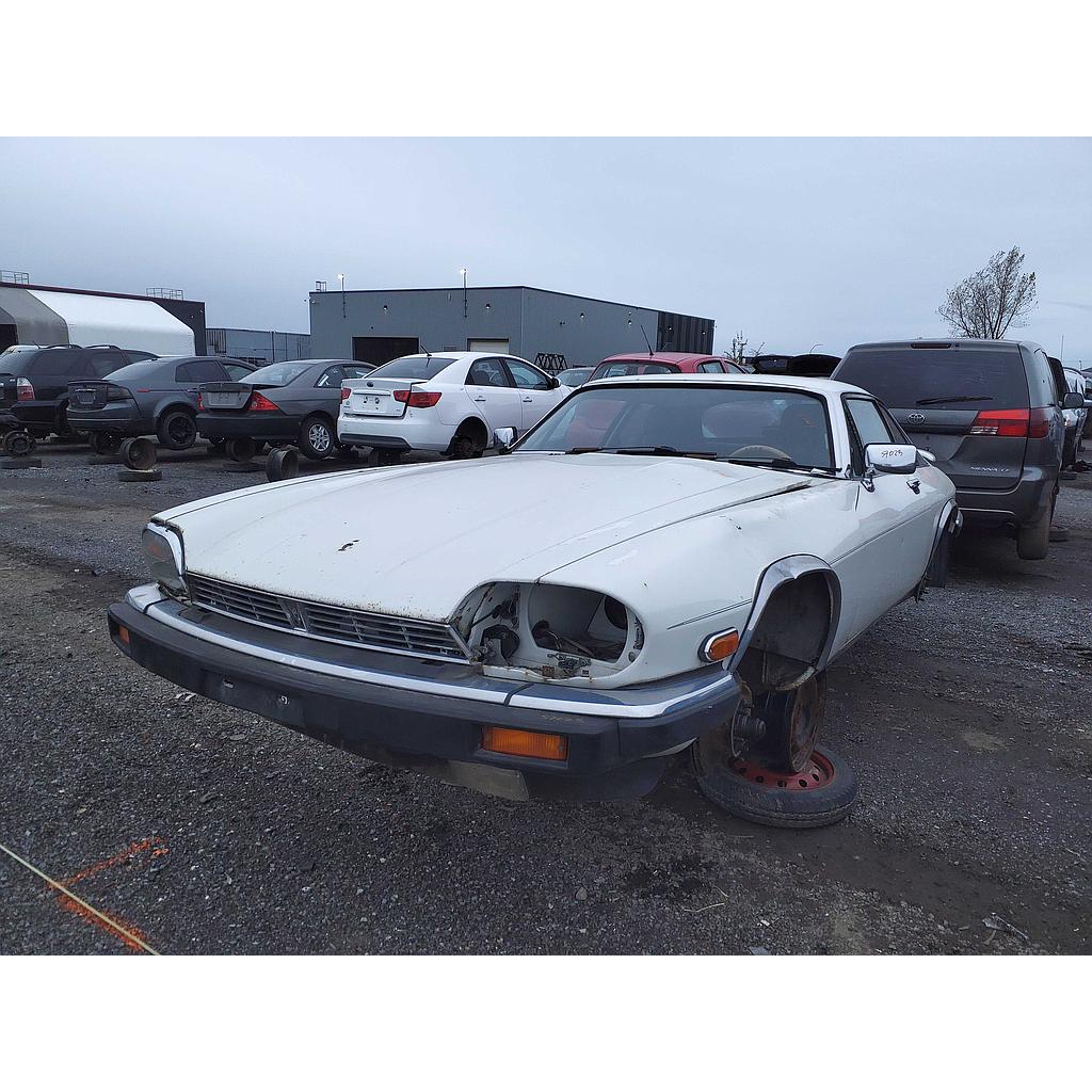 JAGUAR XJS 1989