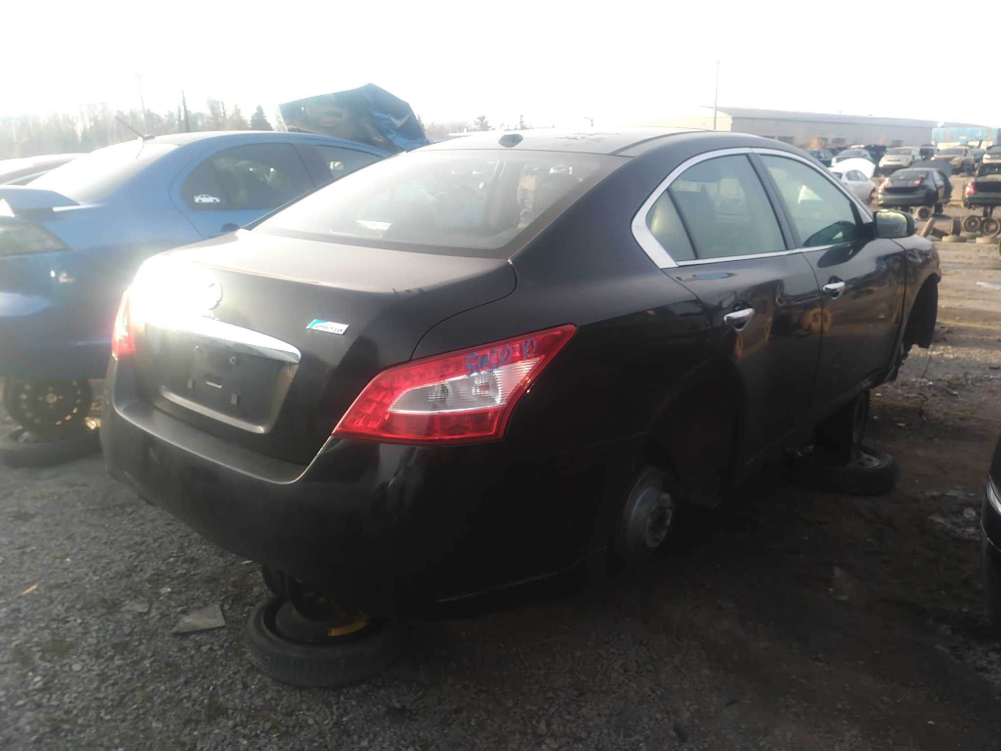NISSAN MAXIMA 2010