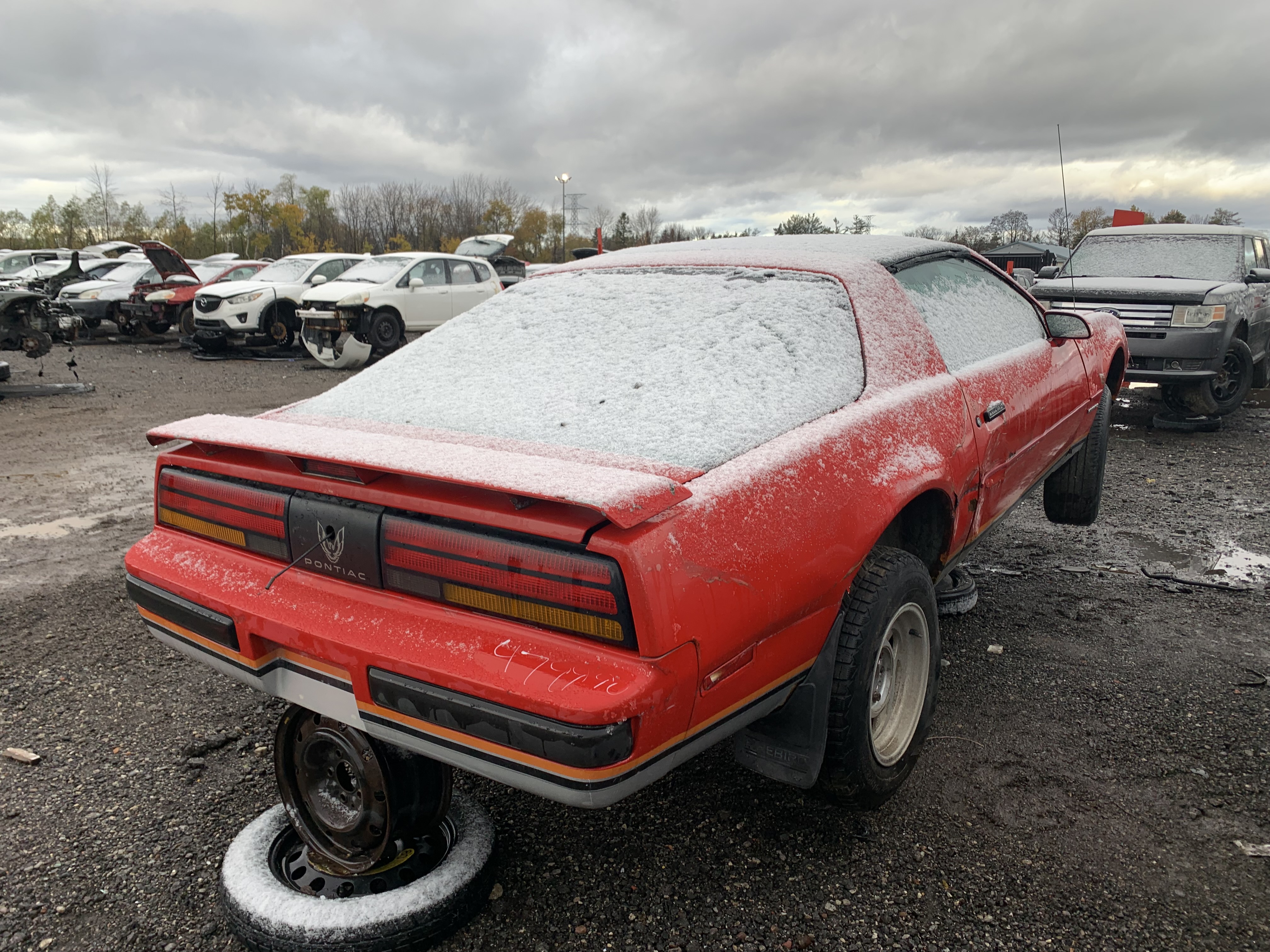 PONTIAC FIREBIRD 1990