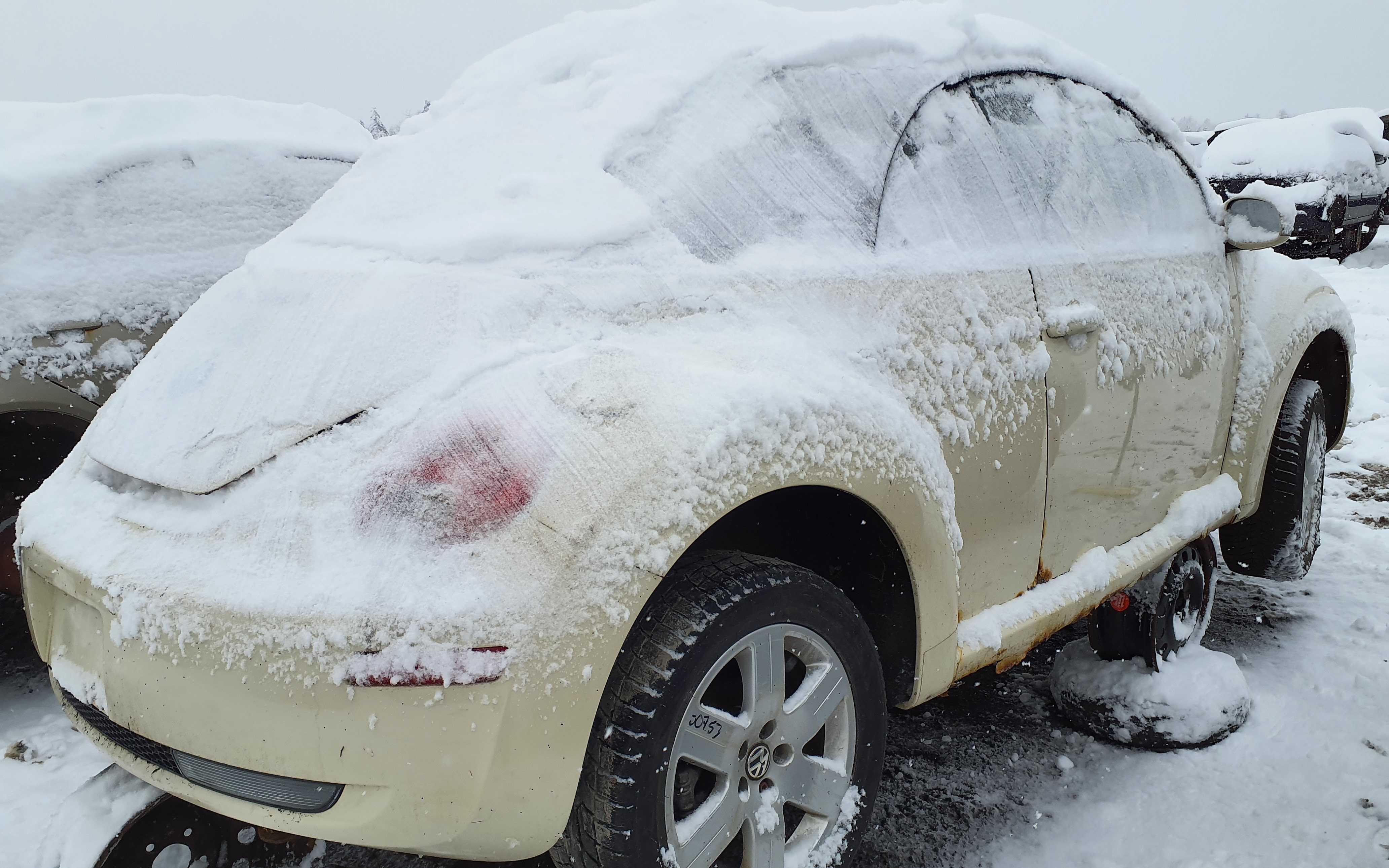 VOLKSWAGEN NEW BEETLE 2007