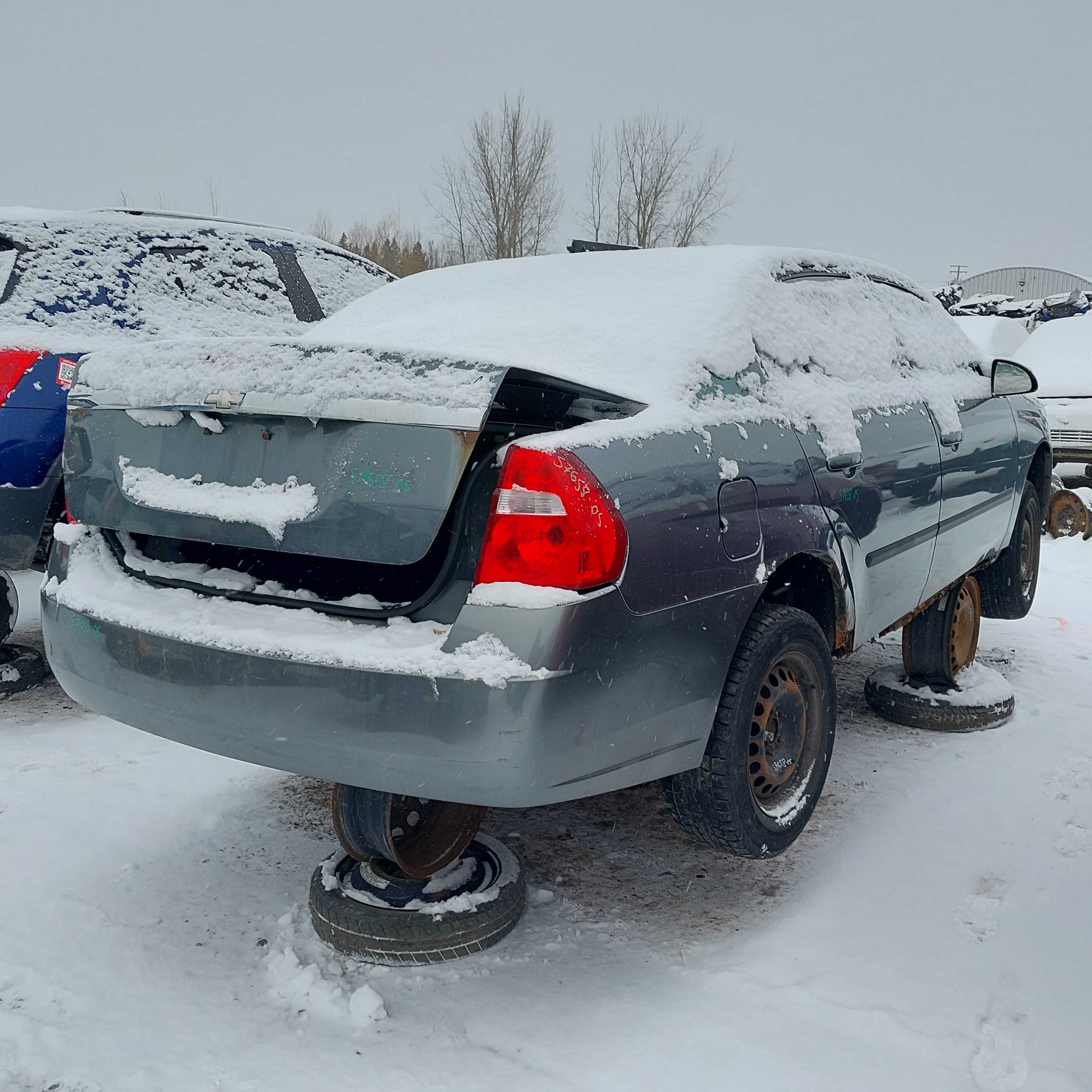 CHEVROLET MALIBU 2005