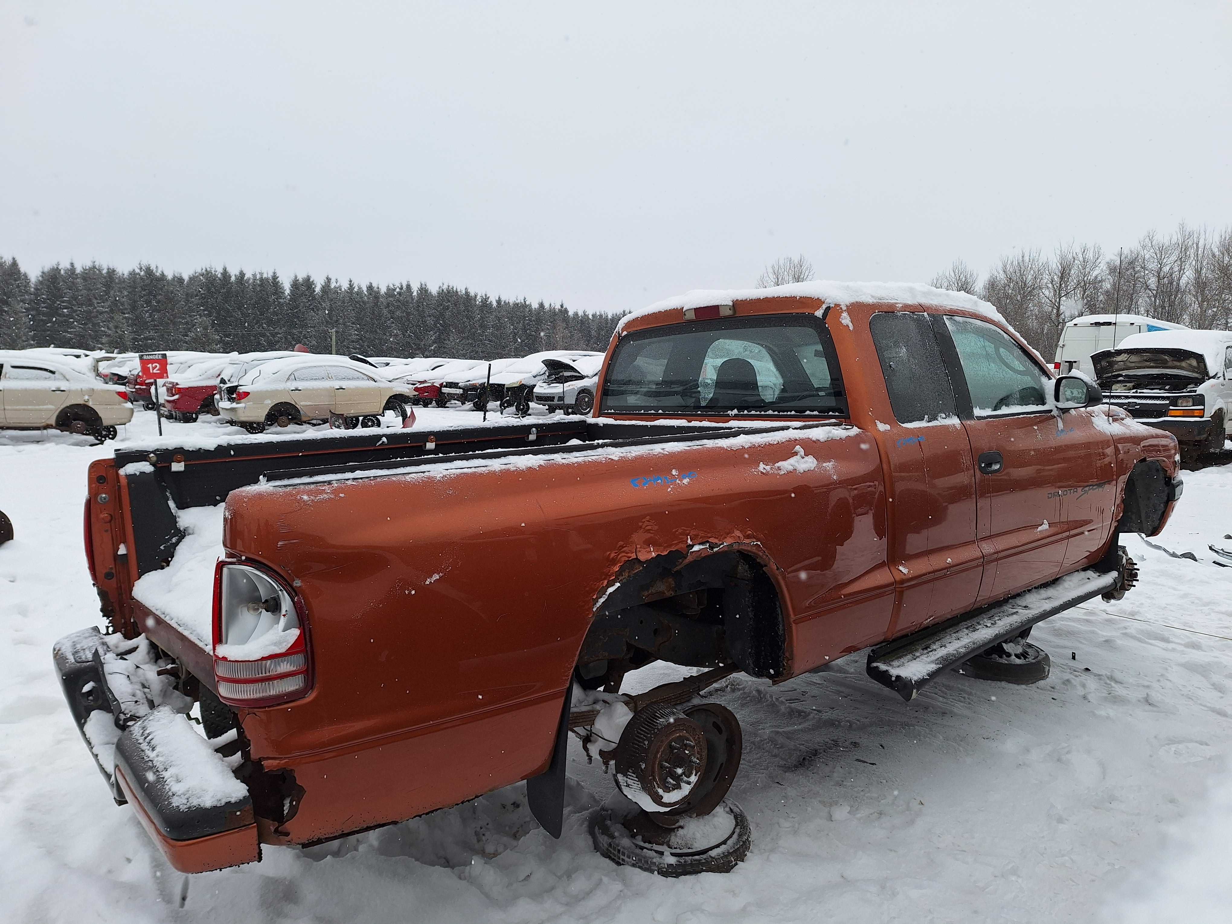 DODGE DAKOTA 2000